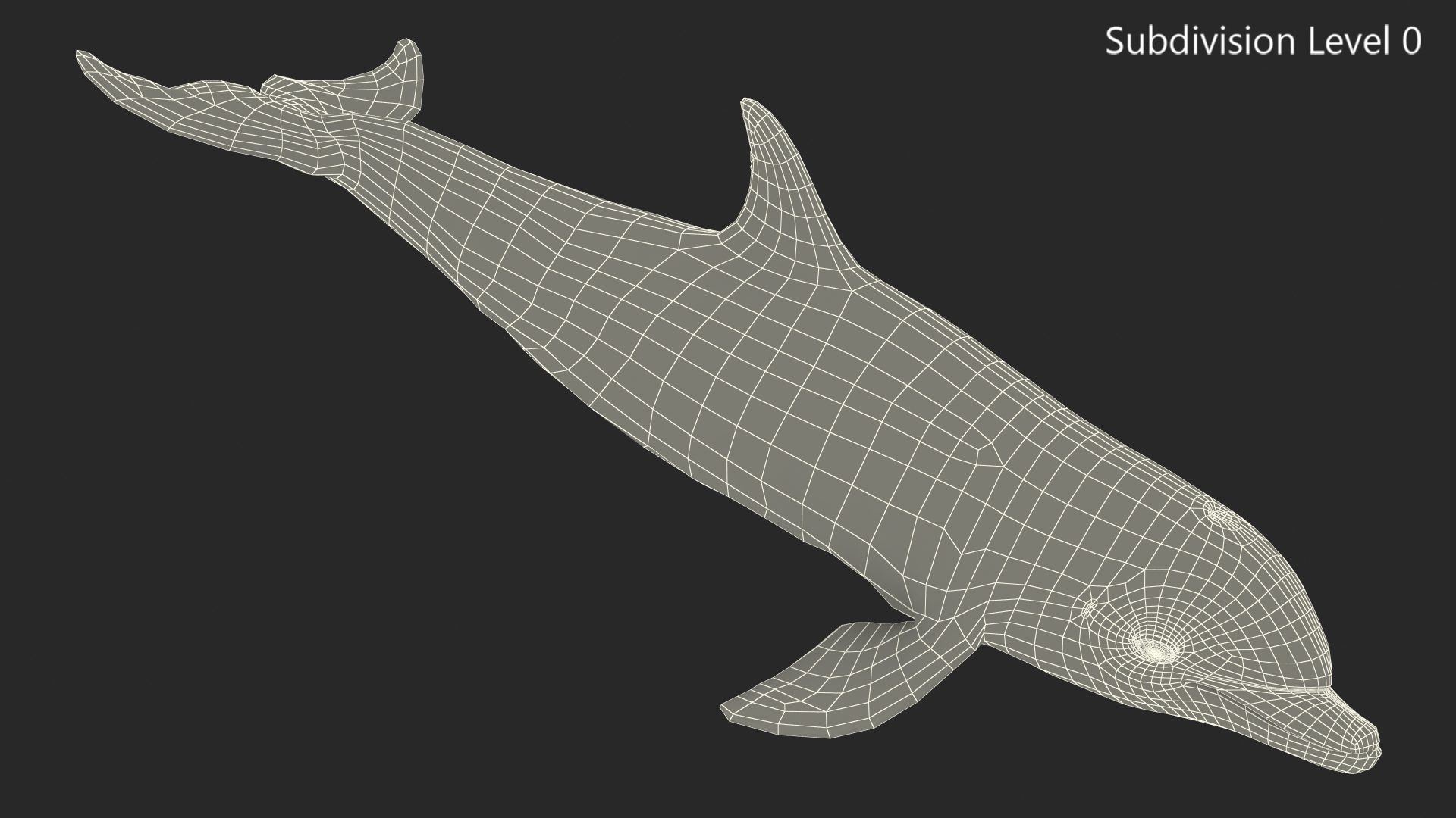 3D Dolphin Swimming And Jumping Animated for Cinema 4D