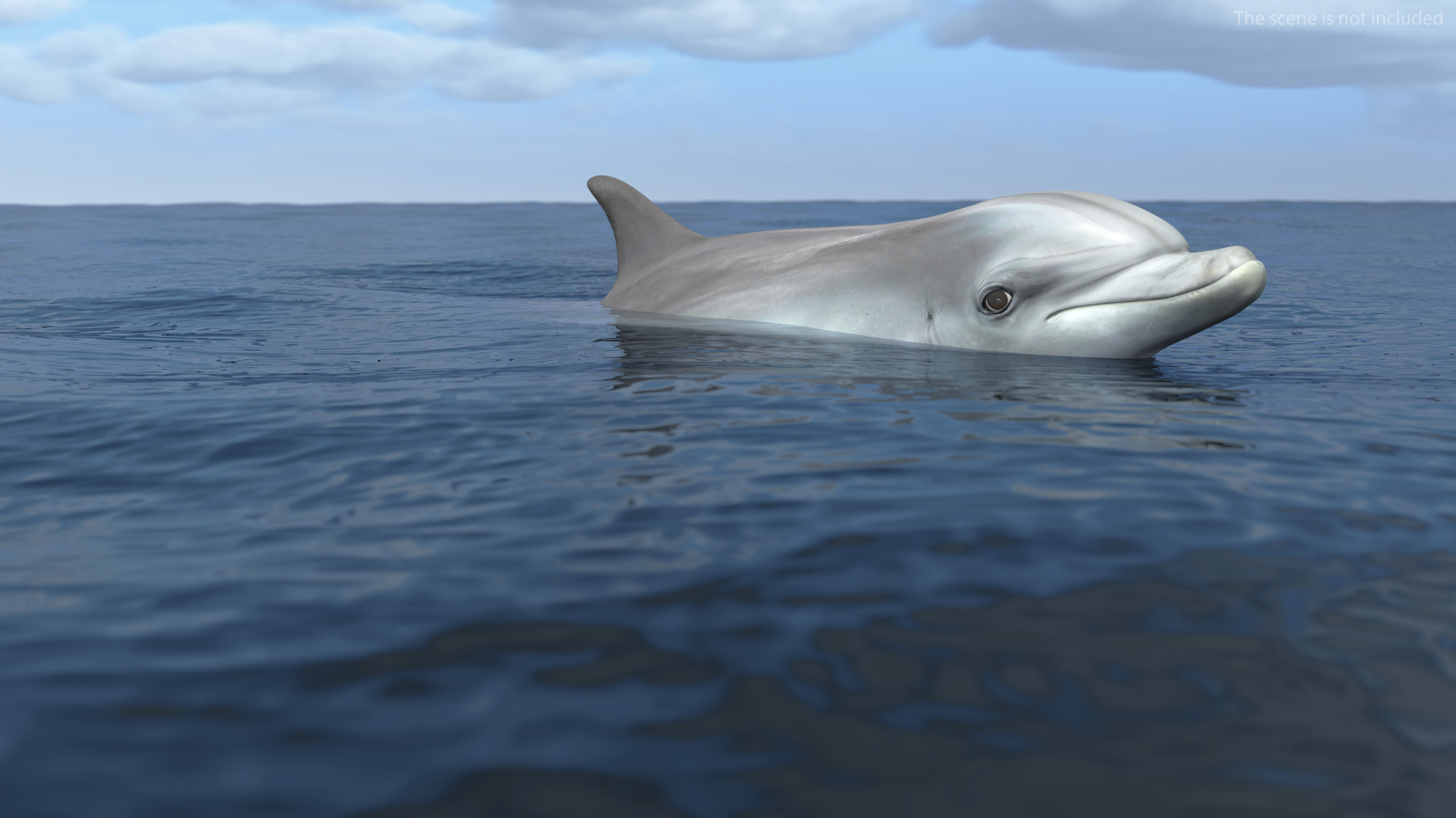 3D Dolphin Swimming And Jumping Animated for Cinema 4D