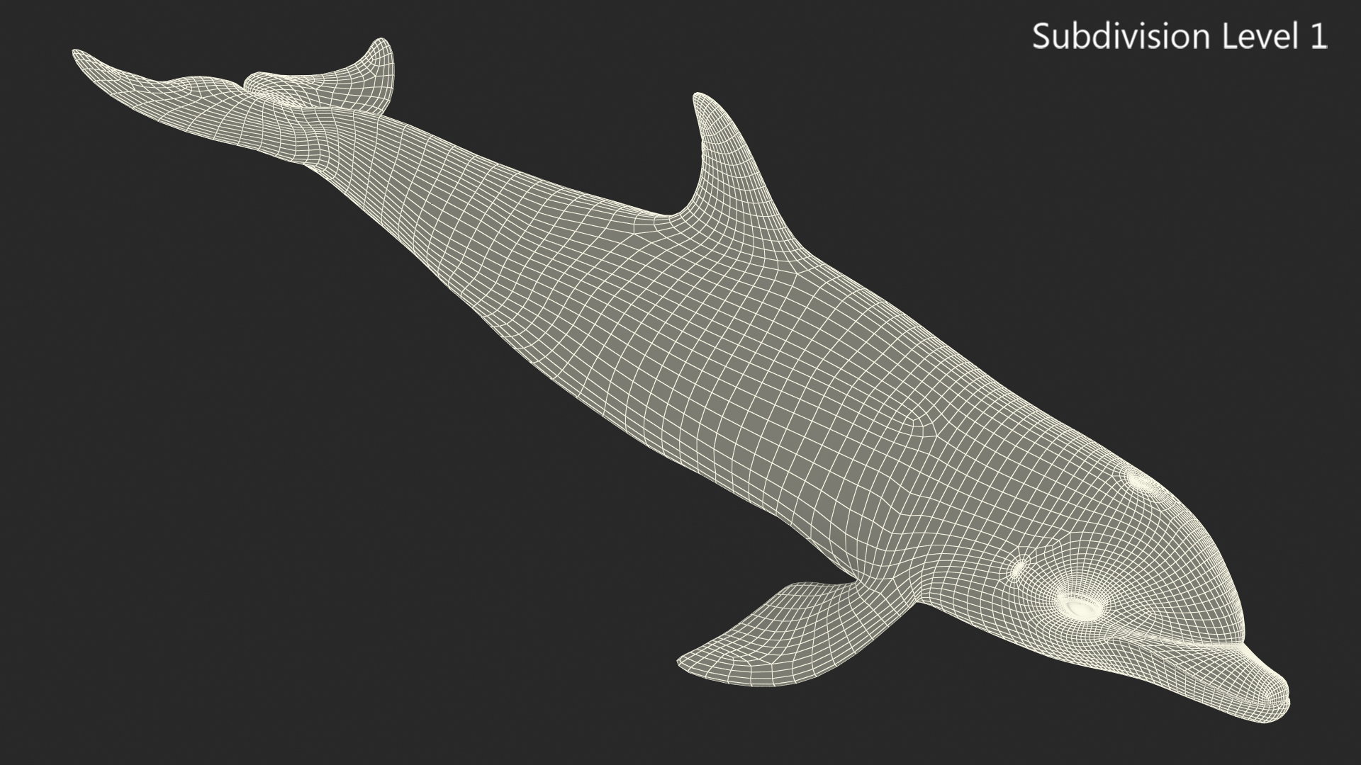 3D Dolphin Swimming And Jumping Animated for Cinema 4D