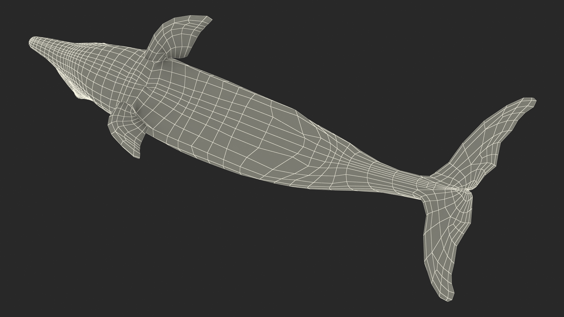 3D Dolphin Swimming And Jumping Animated for Cinema 4D