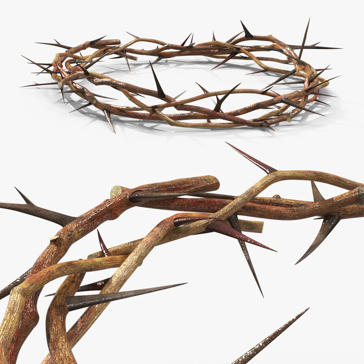 Thorn Crown