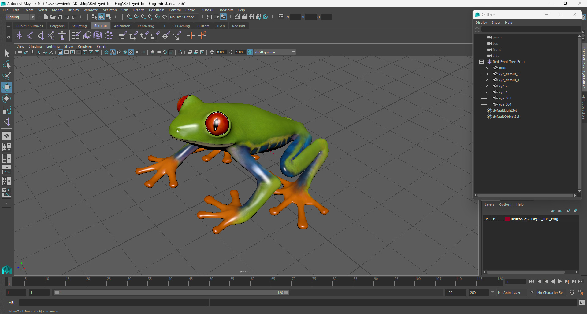 3D Red-Eyed Tree Frog model