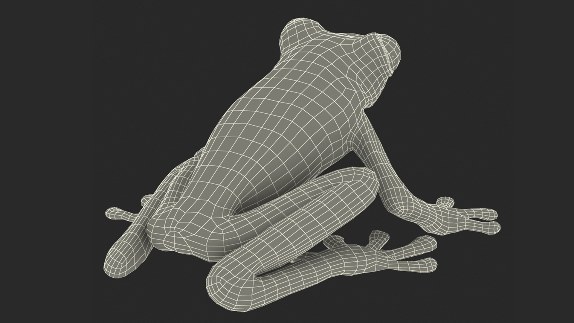 3D Red-Eyed Tree Frog model