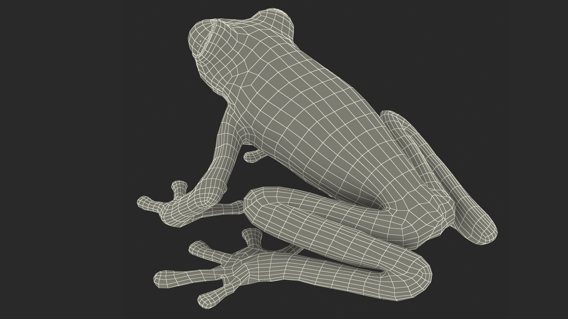 3D Red-Eyed Tree Frog model