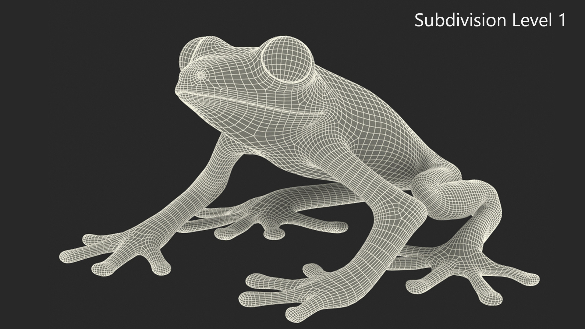 3D Red-Eyed Tree Frog model