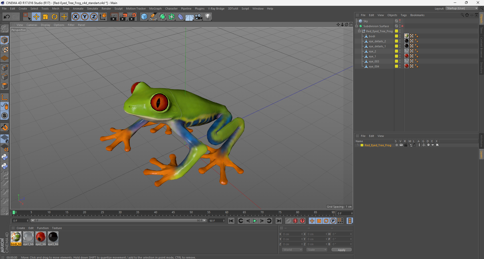 3D Red-Eyed Tree Frog model