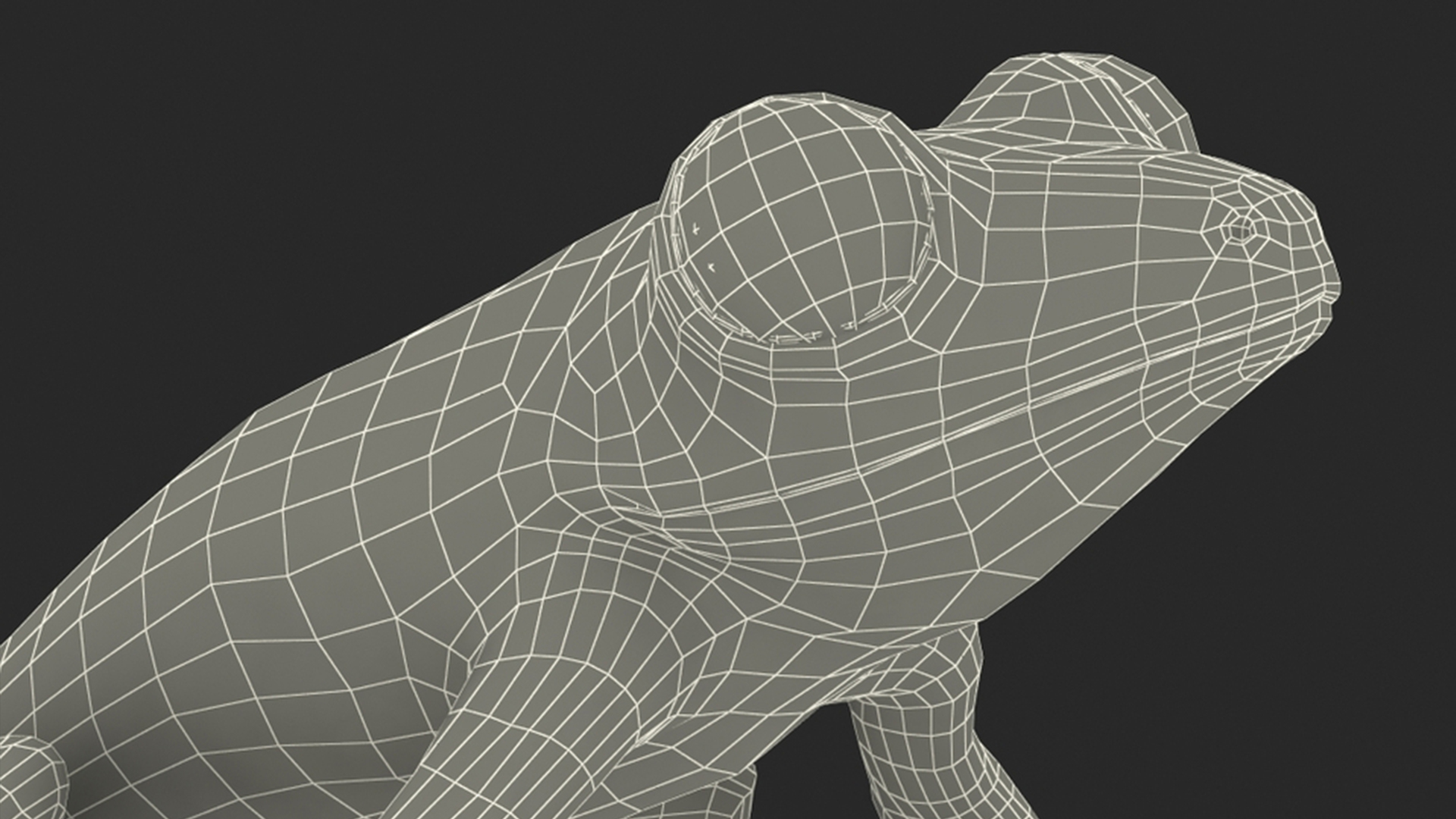 3D Red-Eyed Tree Frog model