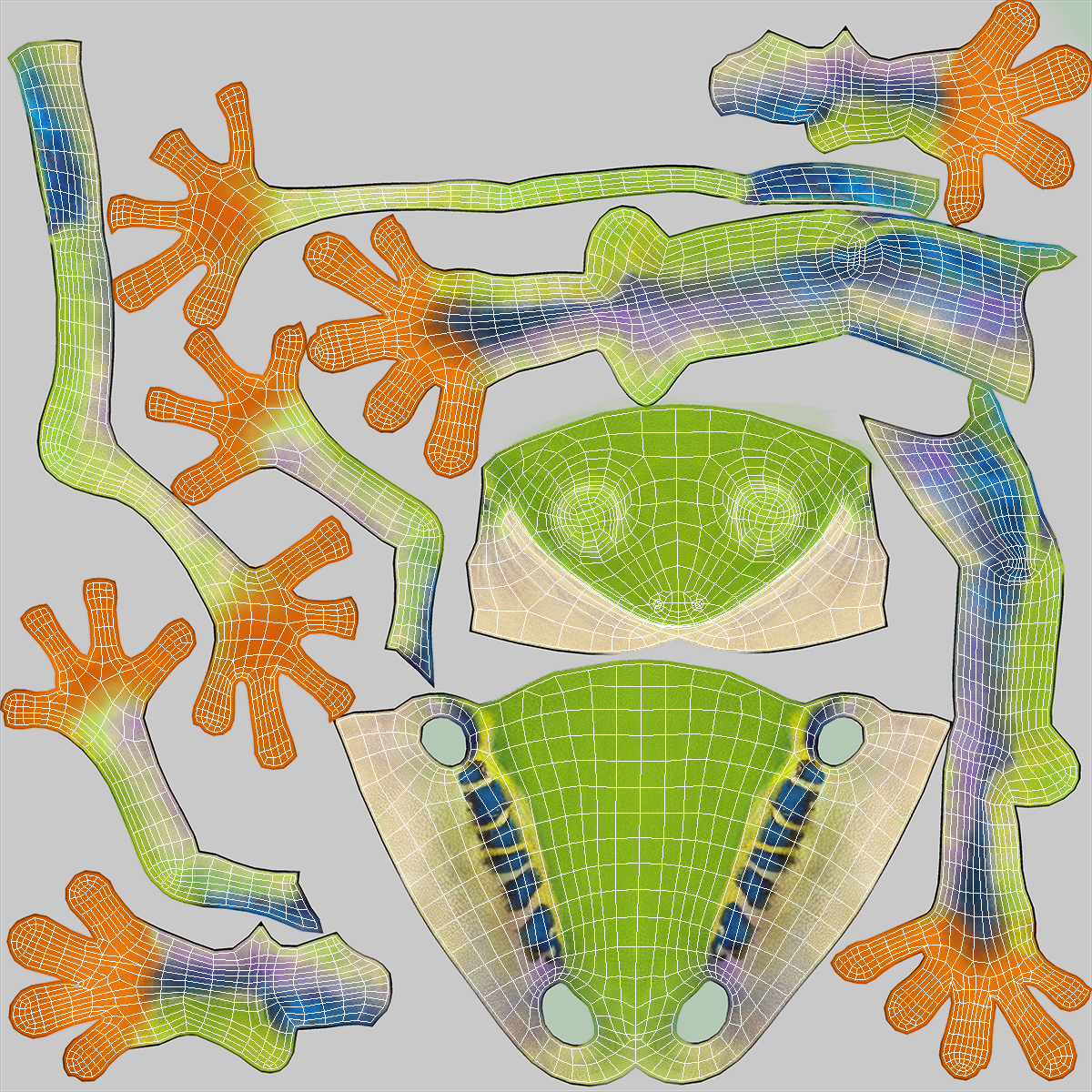 3D Red-Eyed Tree Frog model