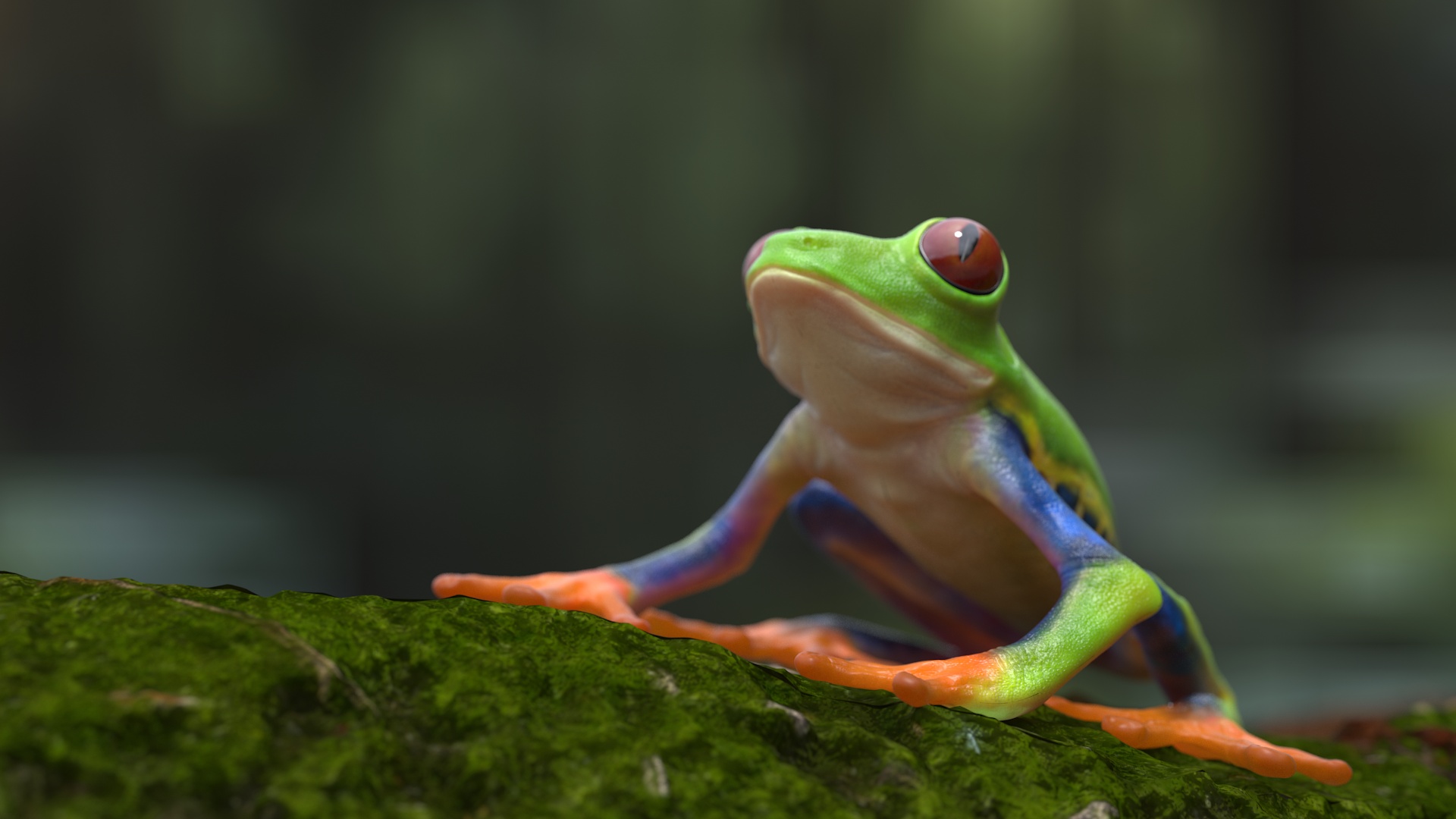 3D Red-Eyed Tree Frog model