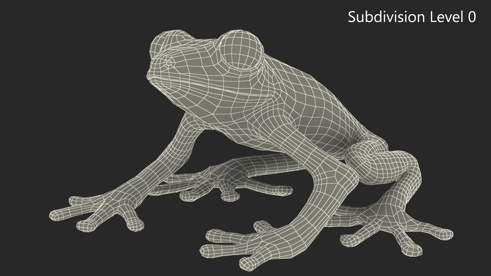 3D Red-Eyed Tree Frog model