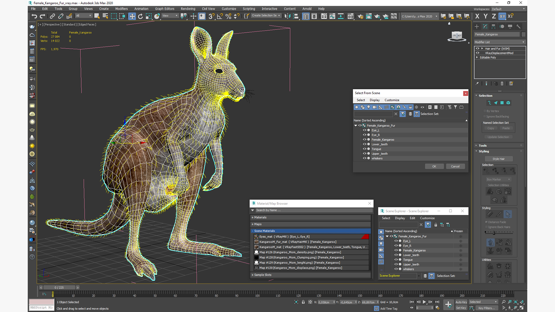 Female Kangaroo Fur 3D model