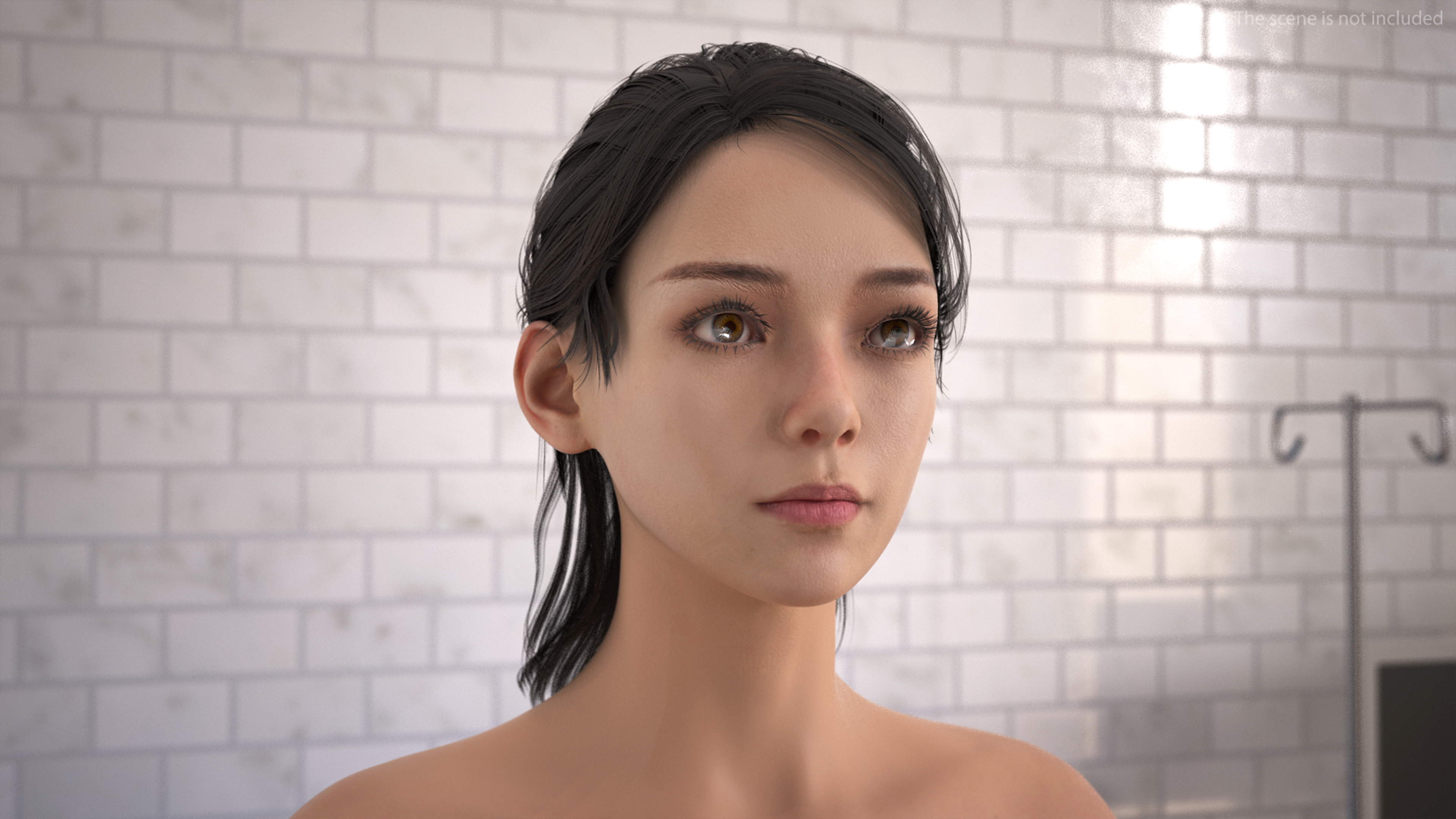 Realistic Skin and Full Body Anatomy Asian Female 3D model