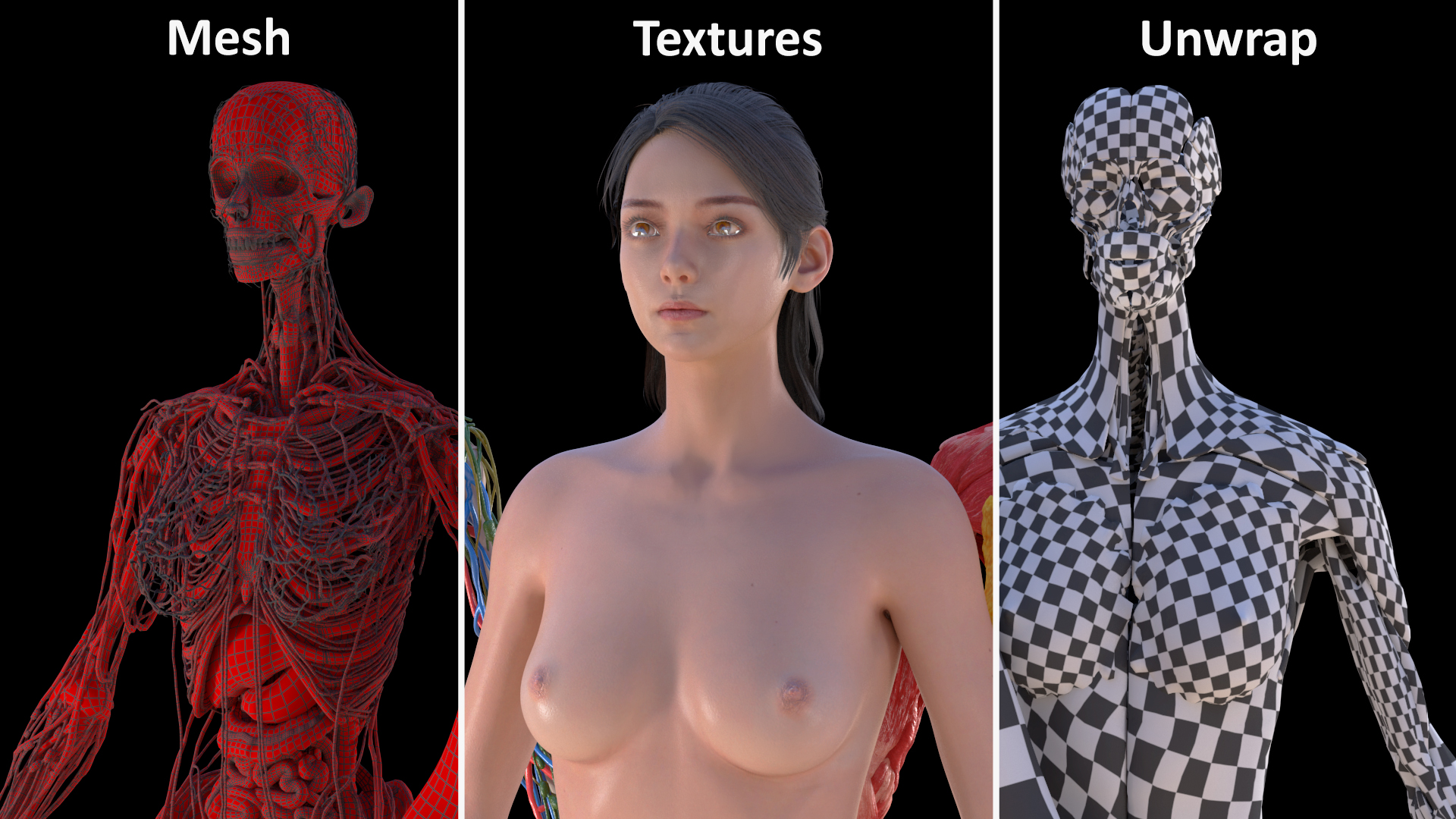 Realistic Skin and Full Body Anatomy Asian Female 3D model