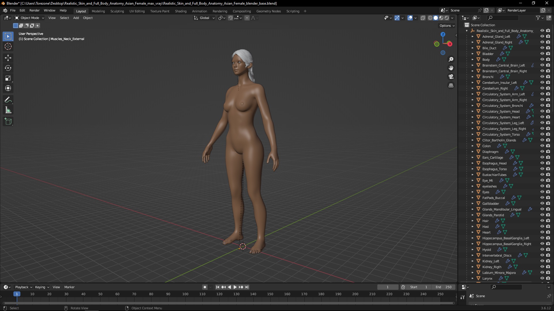 Realistic Skin and Full Body Anatomy Asian Female 3D model