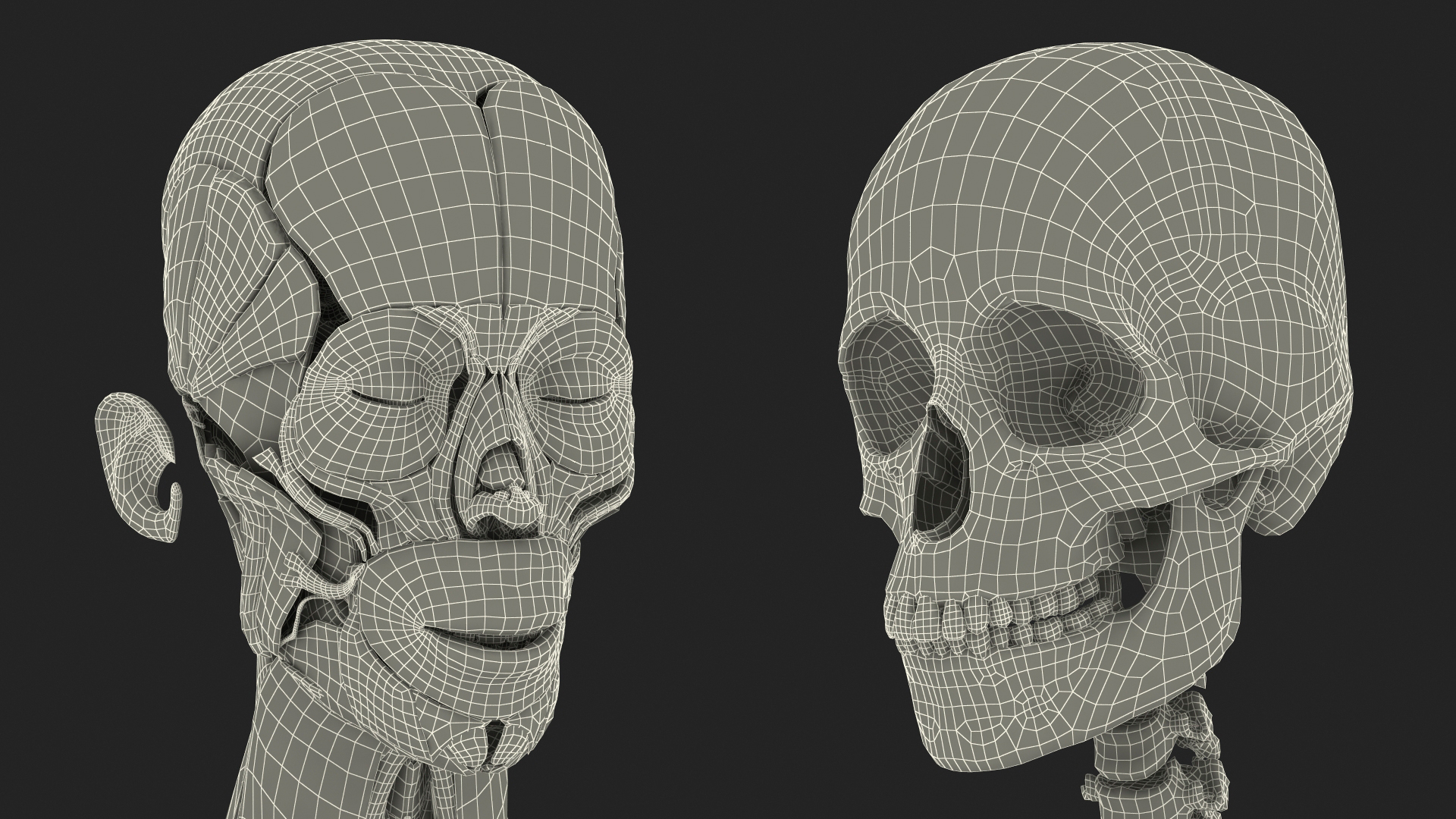 Realistic Skin and Full Body Anatomy Asian Female 3D model