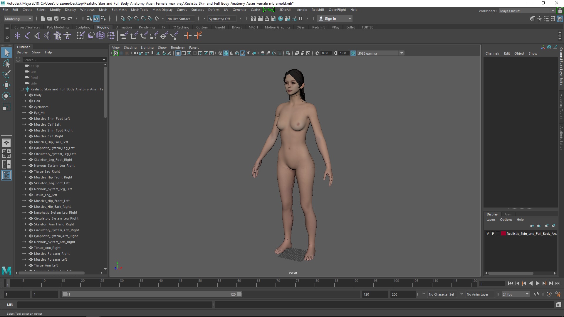 Realistic Skin and Full Body Anatomy Asian Female 3D model