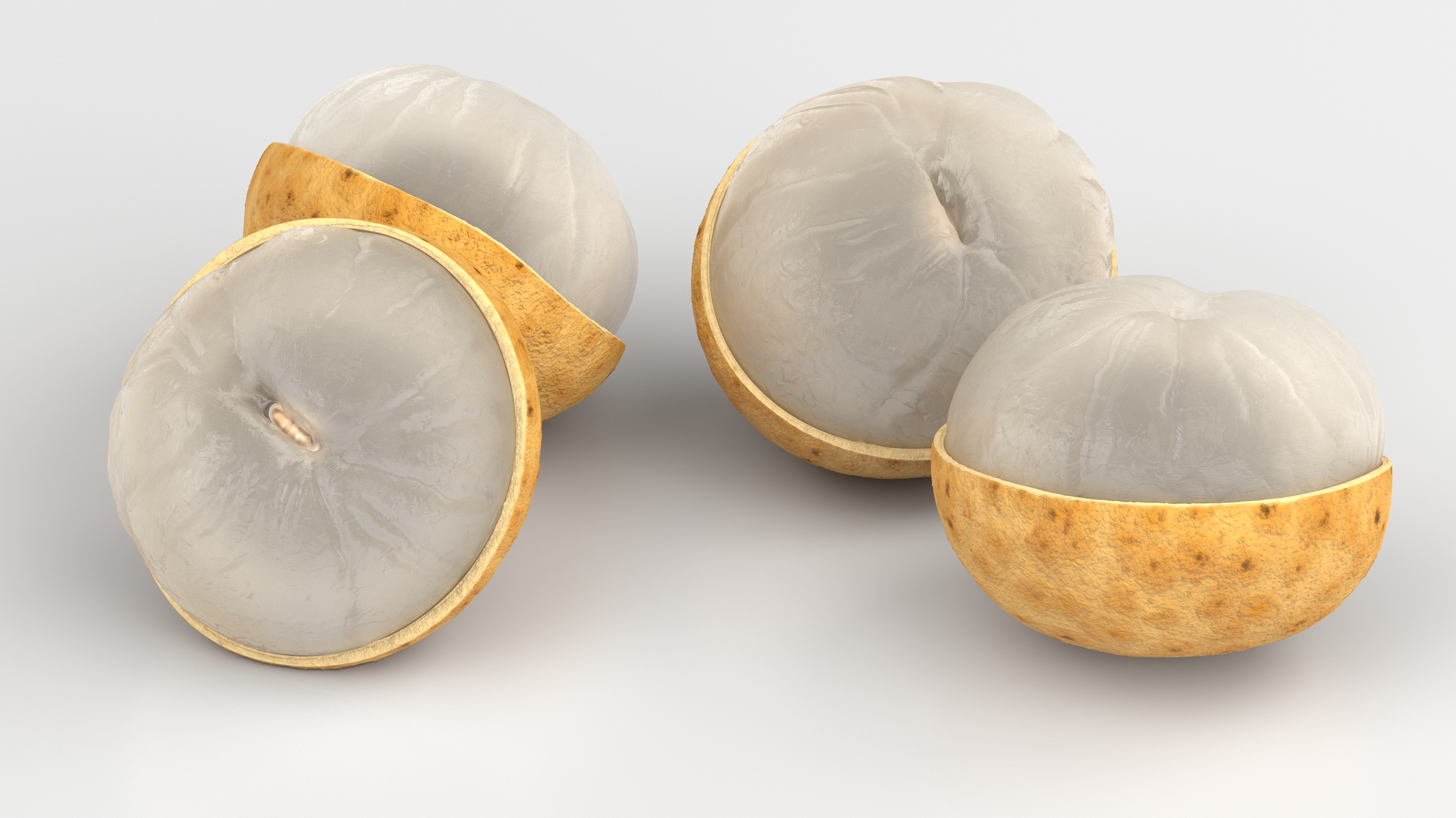 3D model Half a Peeled Longan Peel