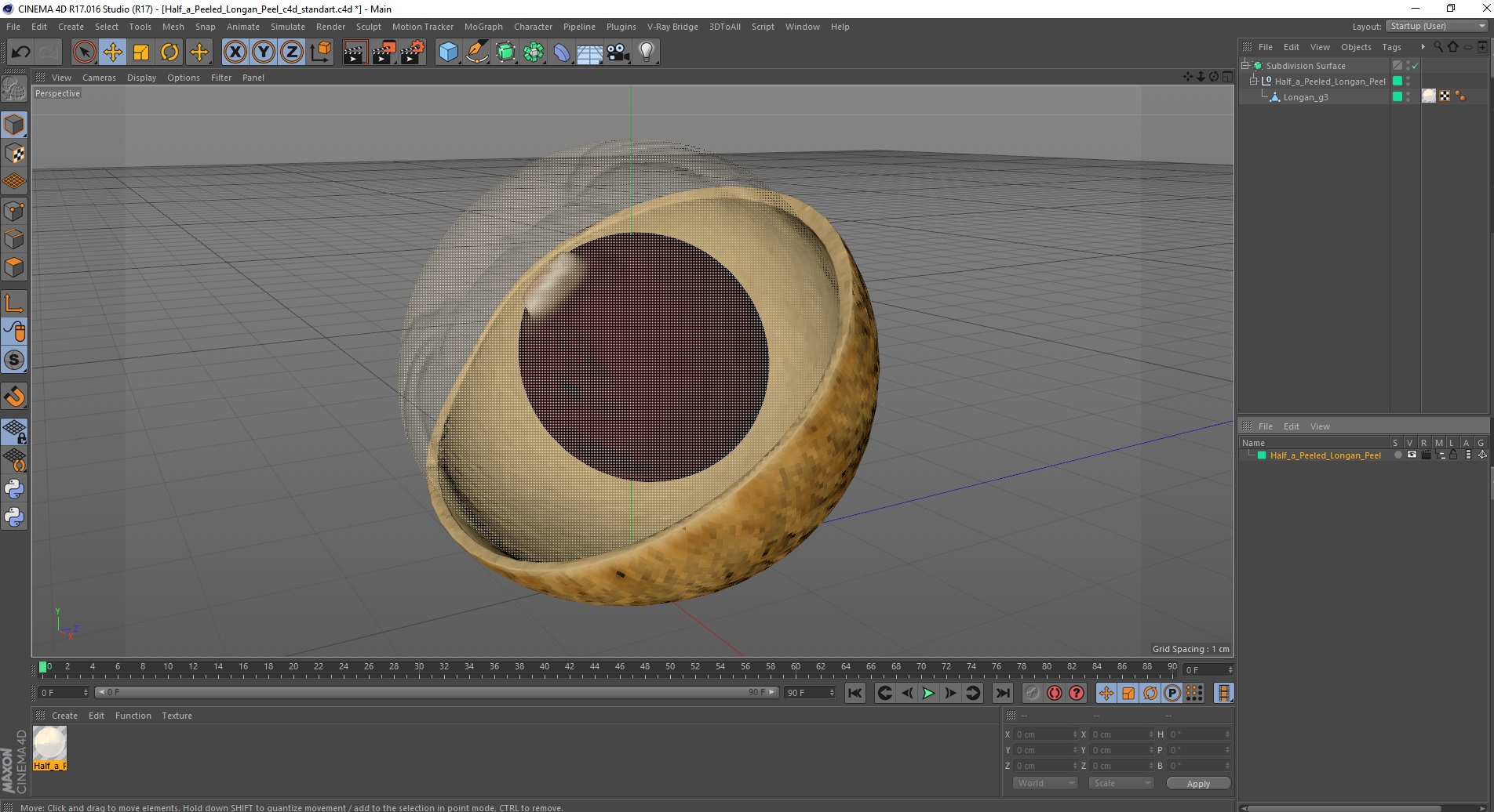 3D model Half a Peeled Longan Peel