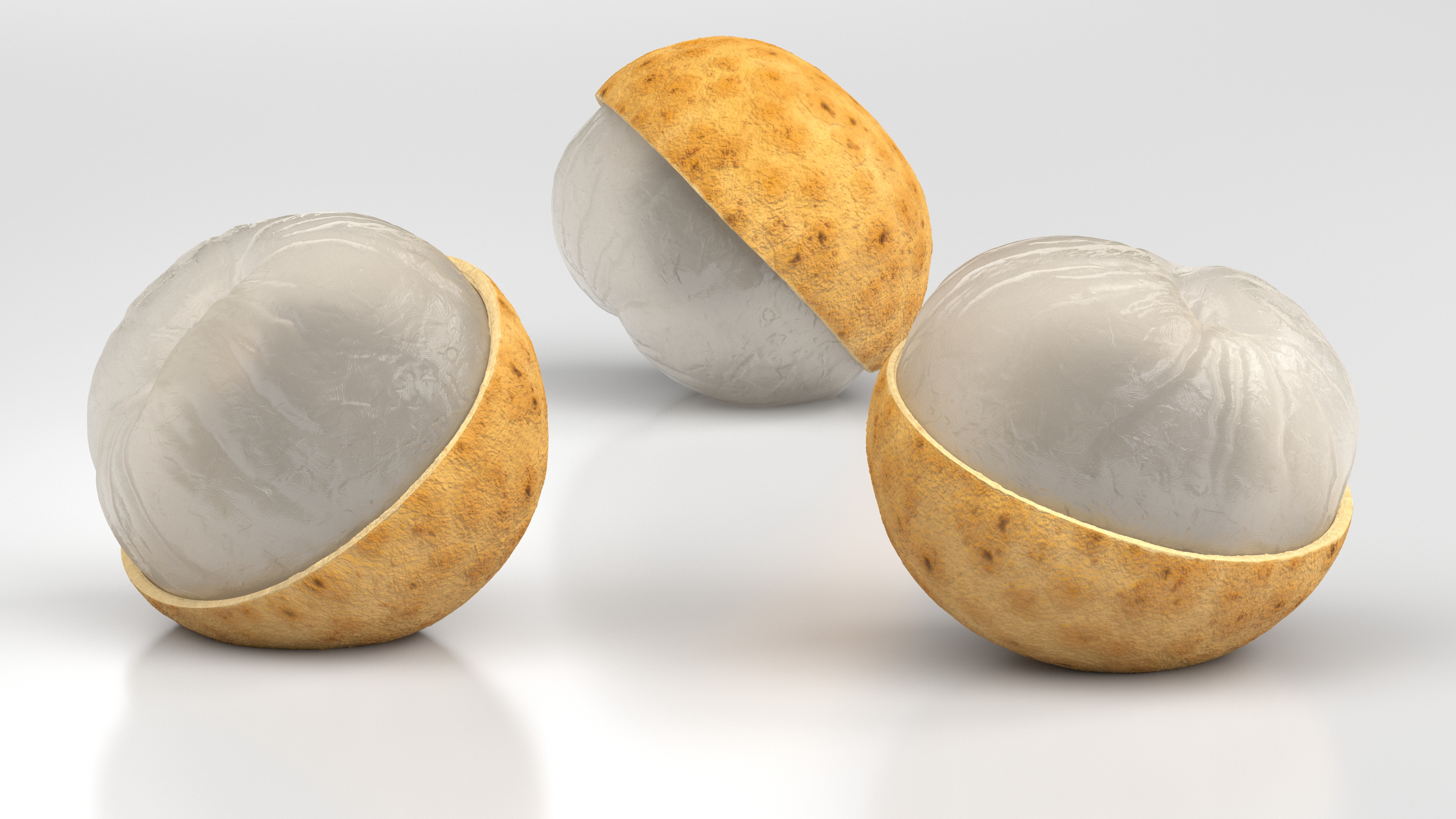 3D model Half a Peeled Longan Peel