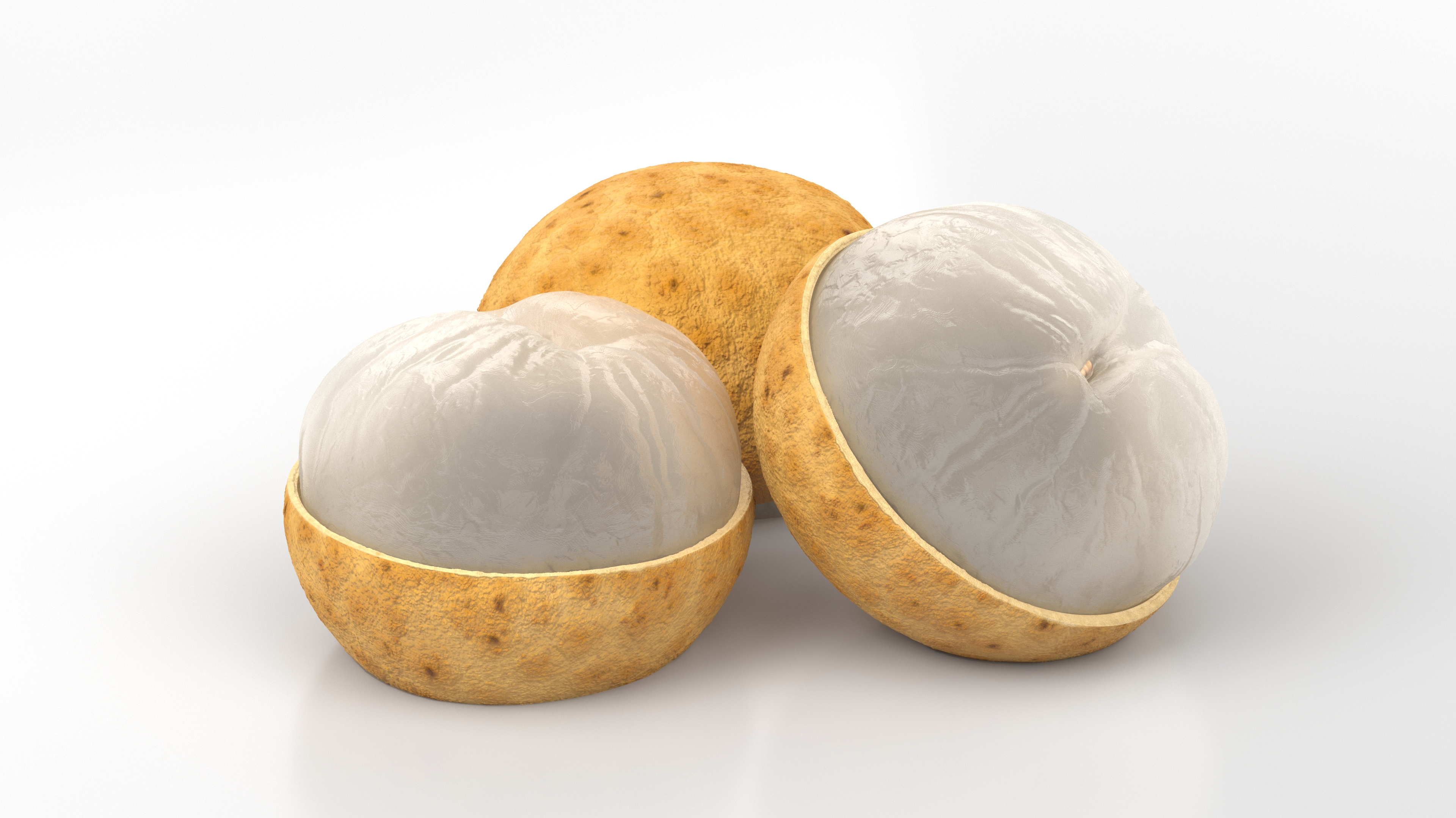 3D model Half a Peeled Longan Peel