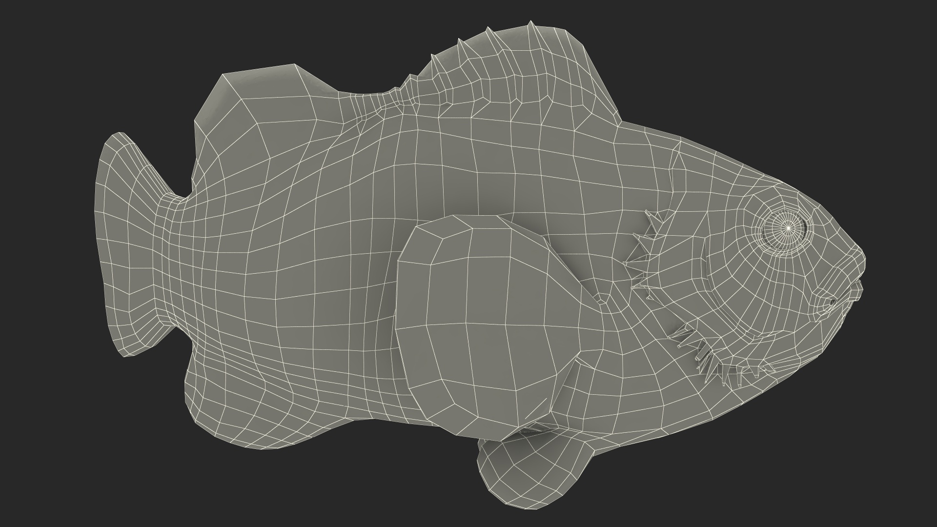 3D Tropical Clownfish model
