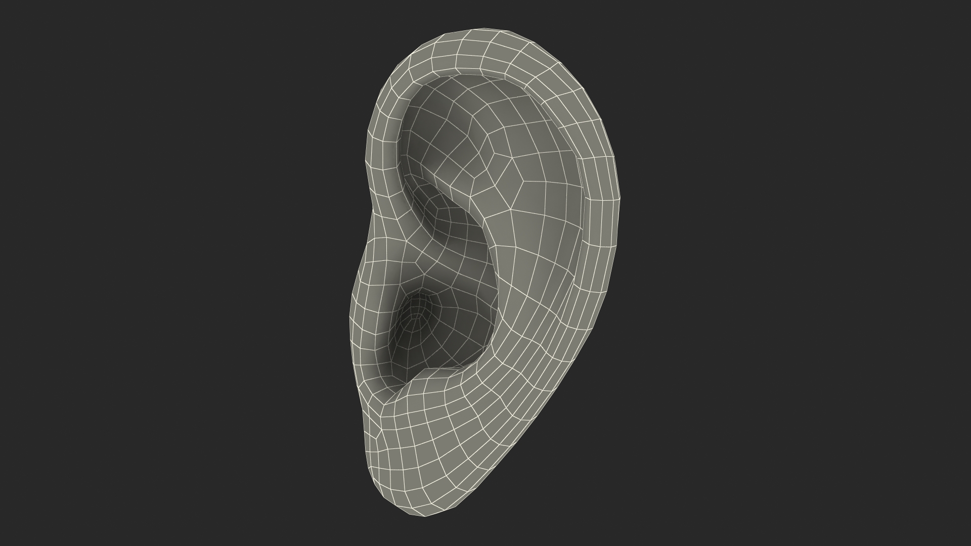 Realistic Human Ear Left 3D model