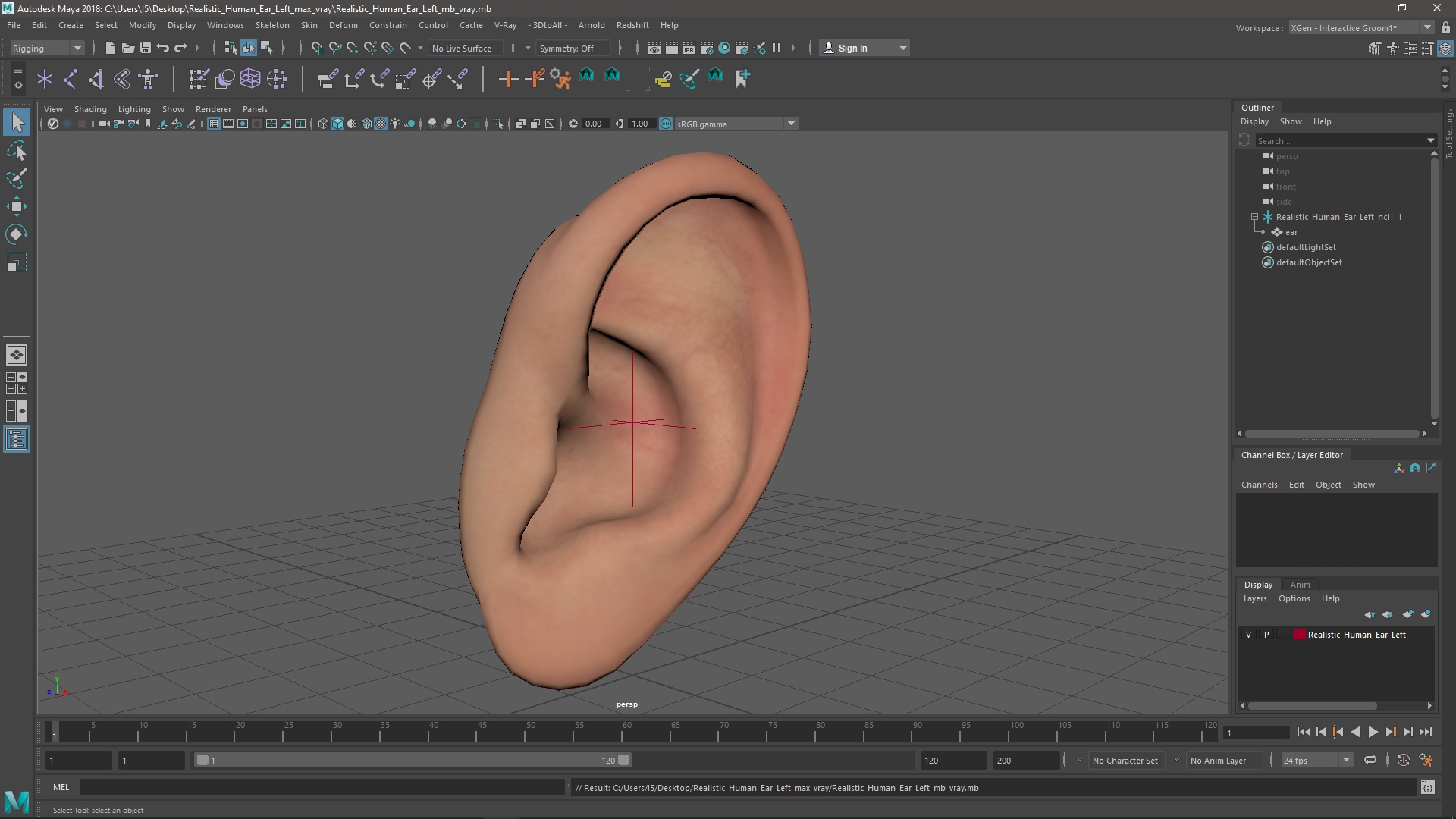 Realistic Human Ear Left 3D model