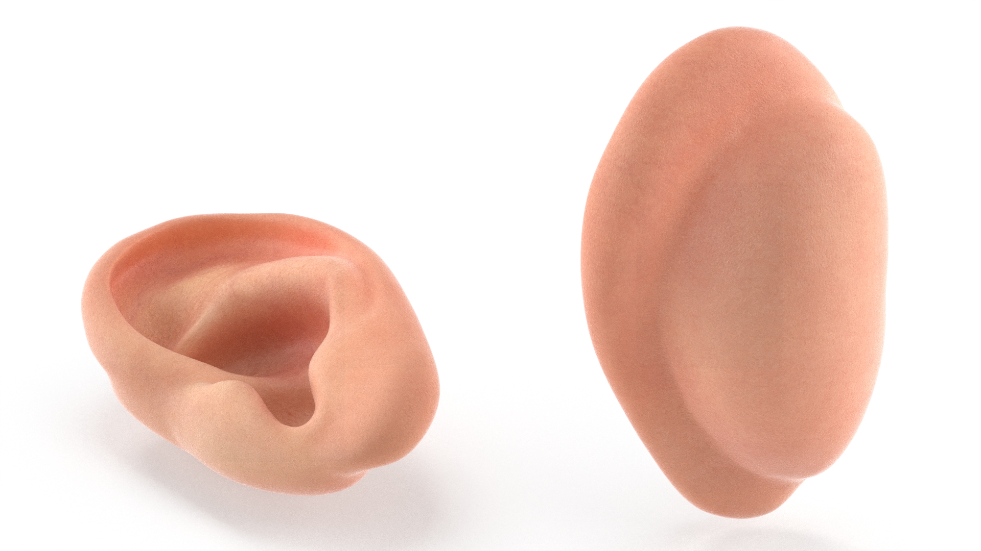 Realistic Human Ear Left 3D model