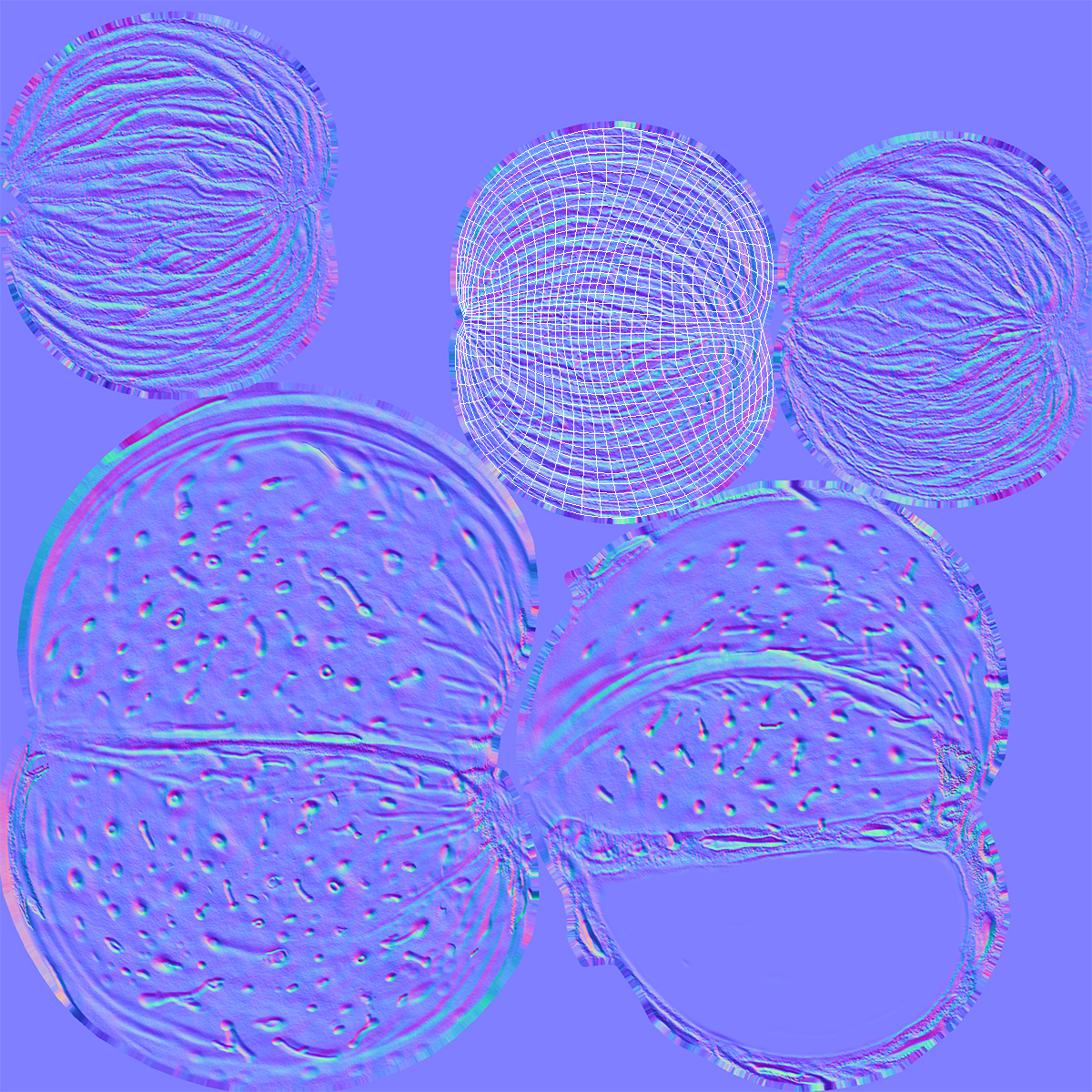 3D model Almond