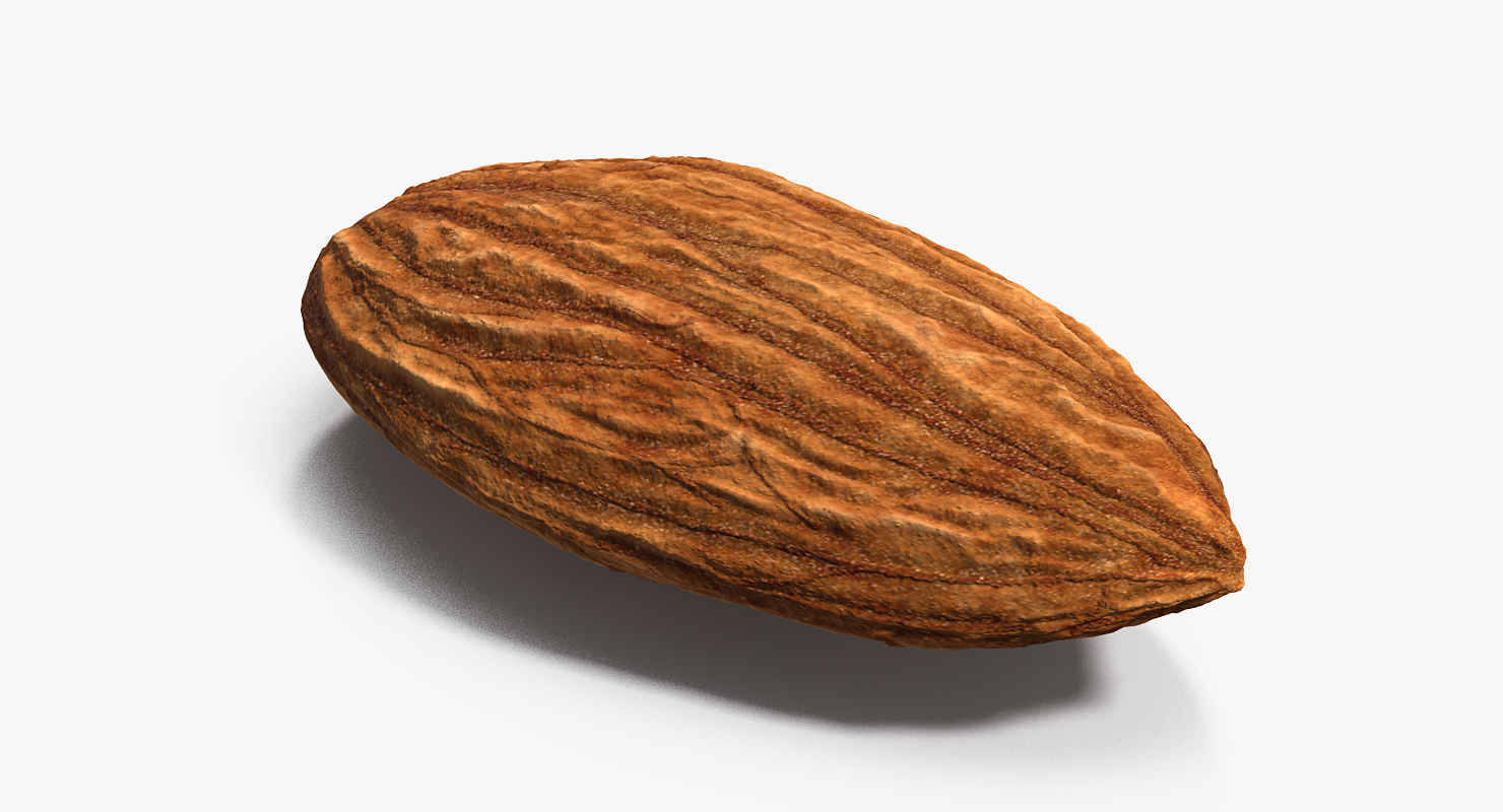 3D model Almond