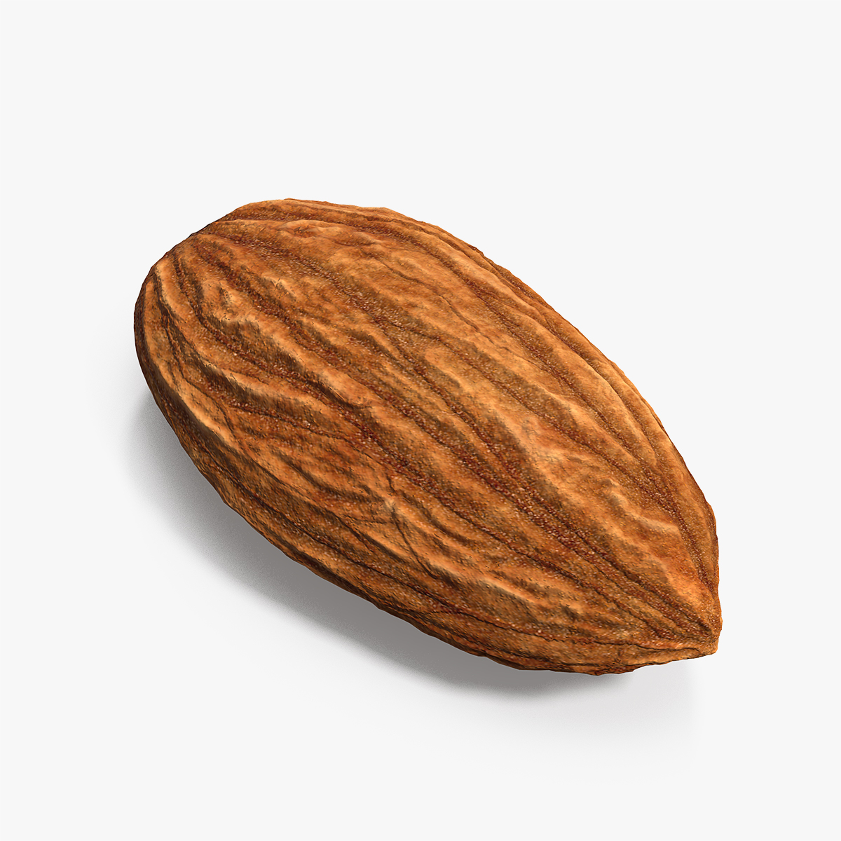 Almond, view 5