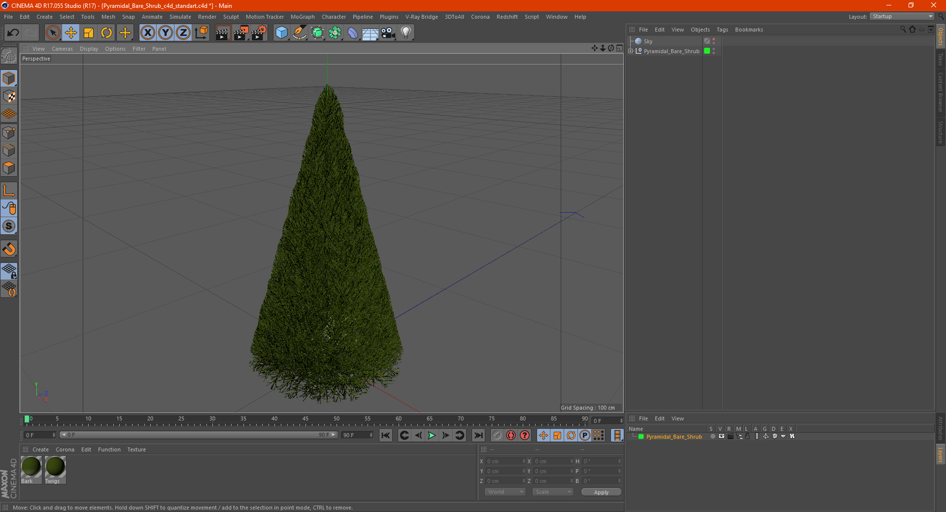 3D model Pyramidal Bare Shrub