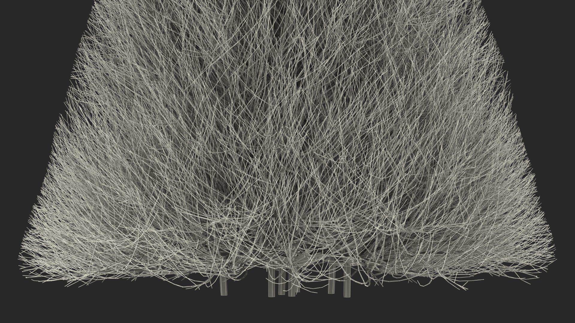 3D model Pyramidal Bare Shrub