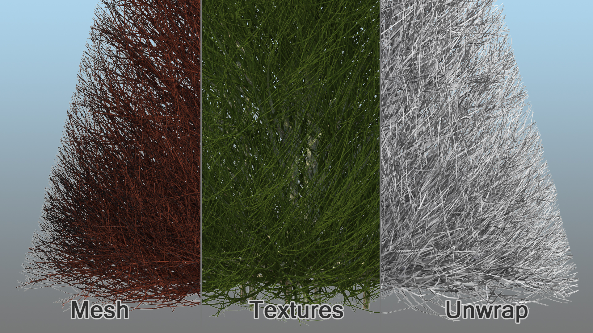 3D model Pyramidal Bare Shrub