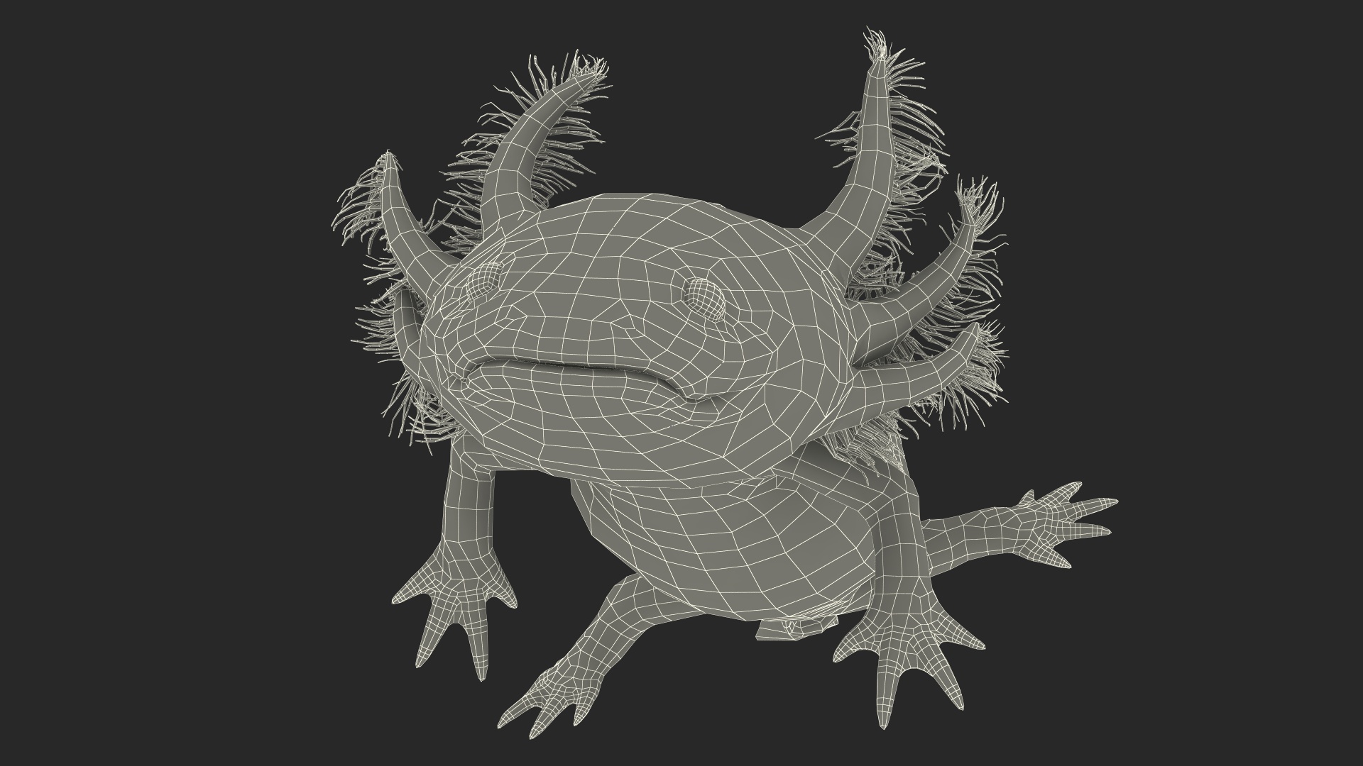 3D Gold Mexican Salamander model