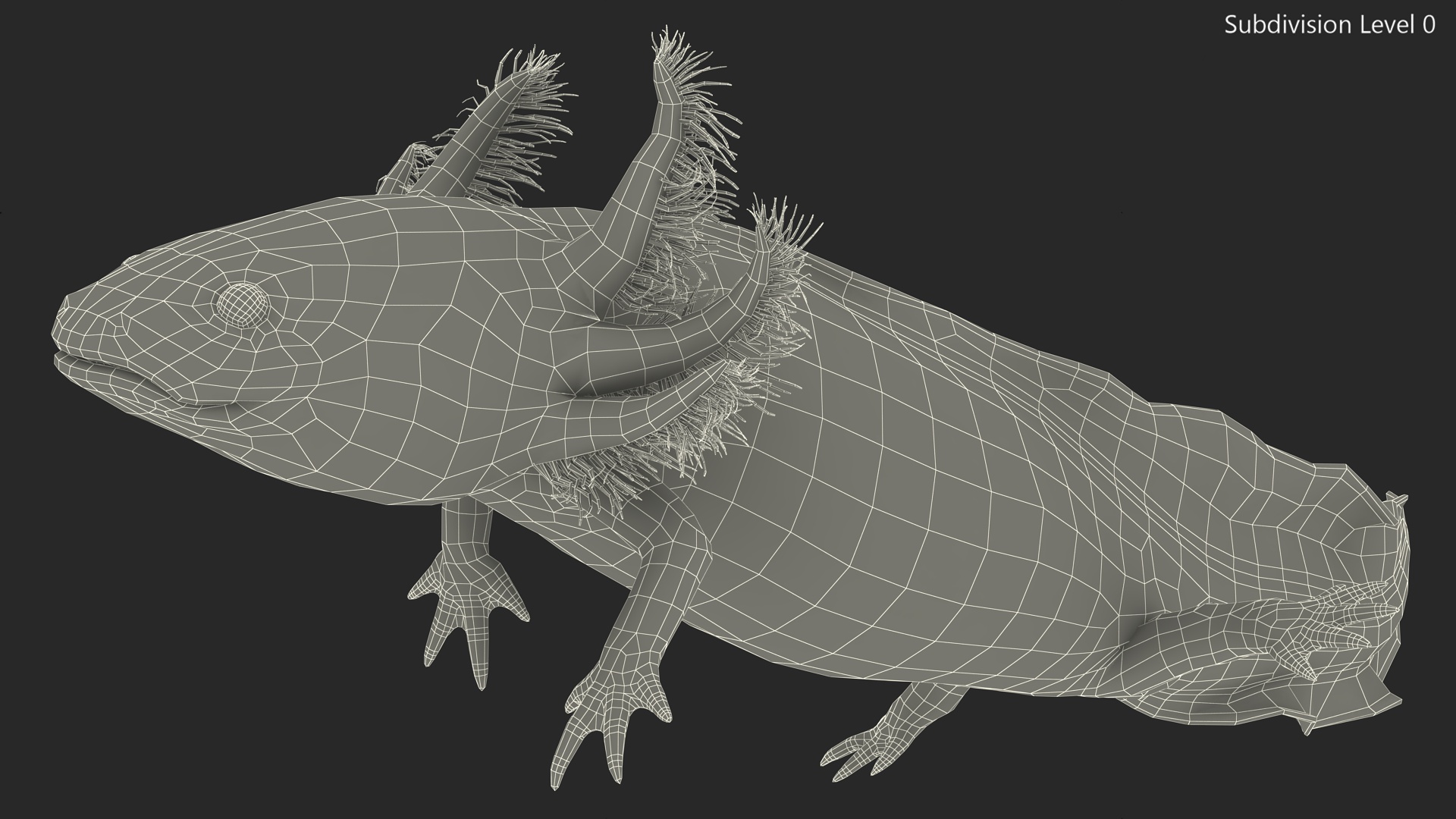 3D Gold Mexican Salamander model