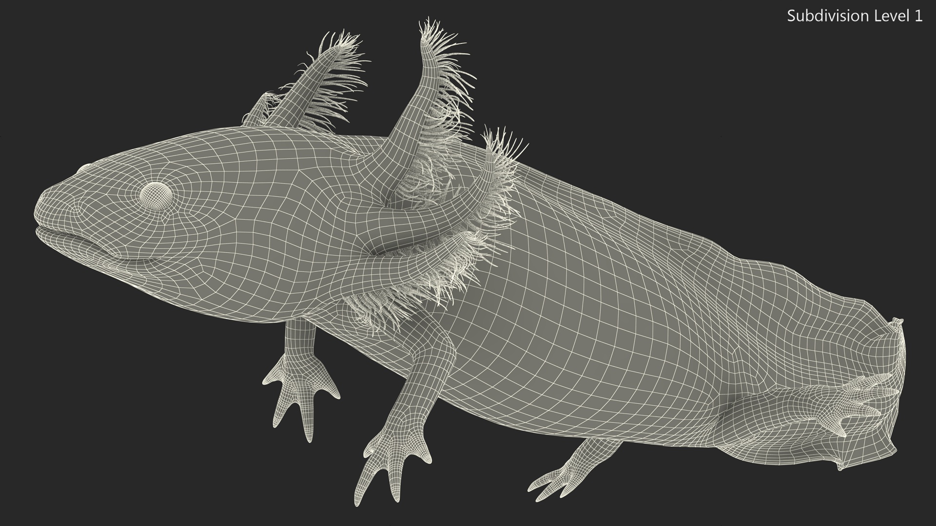 3D Gold Mexican Salamander model