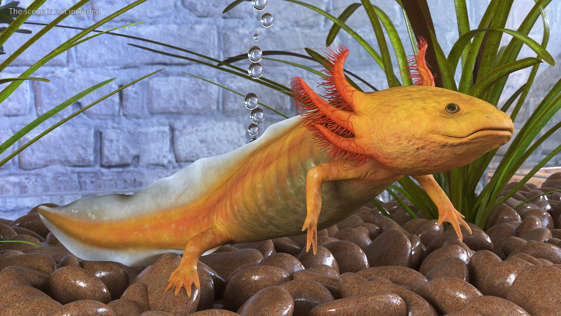 3D Gold Mexican Salamander model