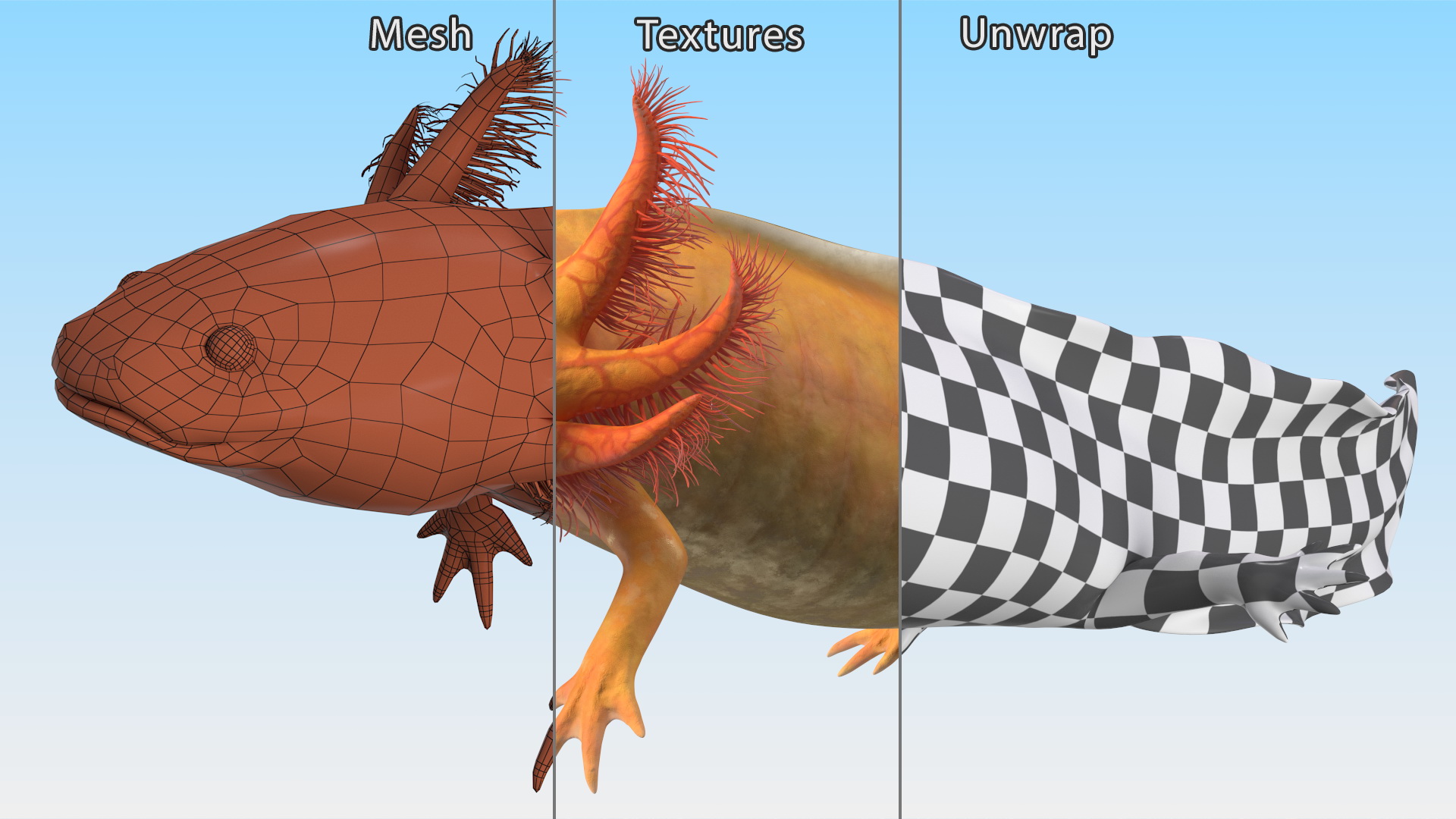 3D Gold Mexican Salamander model