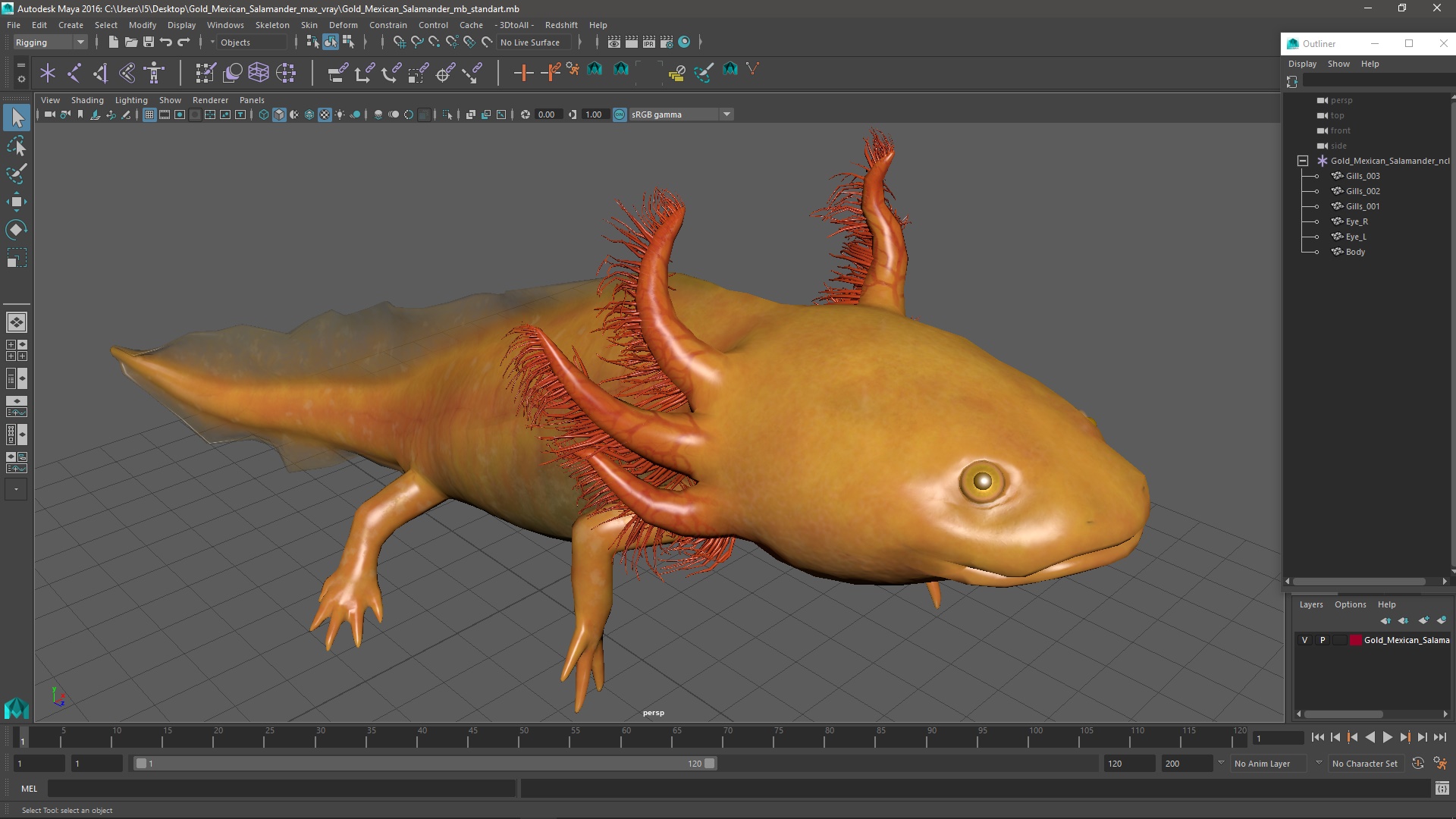 3D Gold Mexican Salamander model