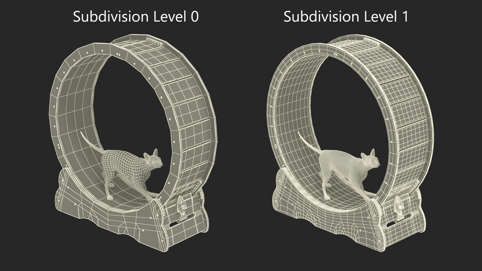 Sphynx Cat on Homegroove Exercise Wheel 3D model
