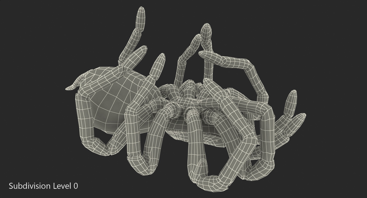 3D Goliath Birdeater Dead Pose with Fur