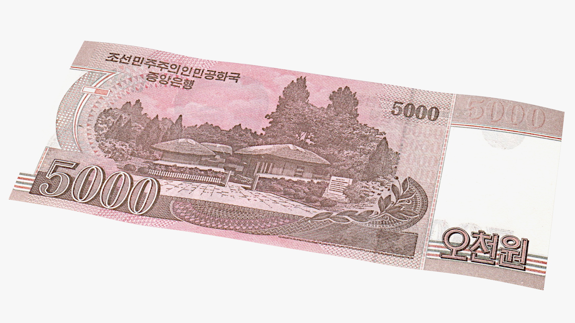 3D Rubber Band Stack of North Korea 5000 Won 2008