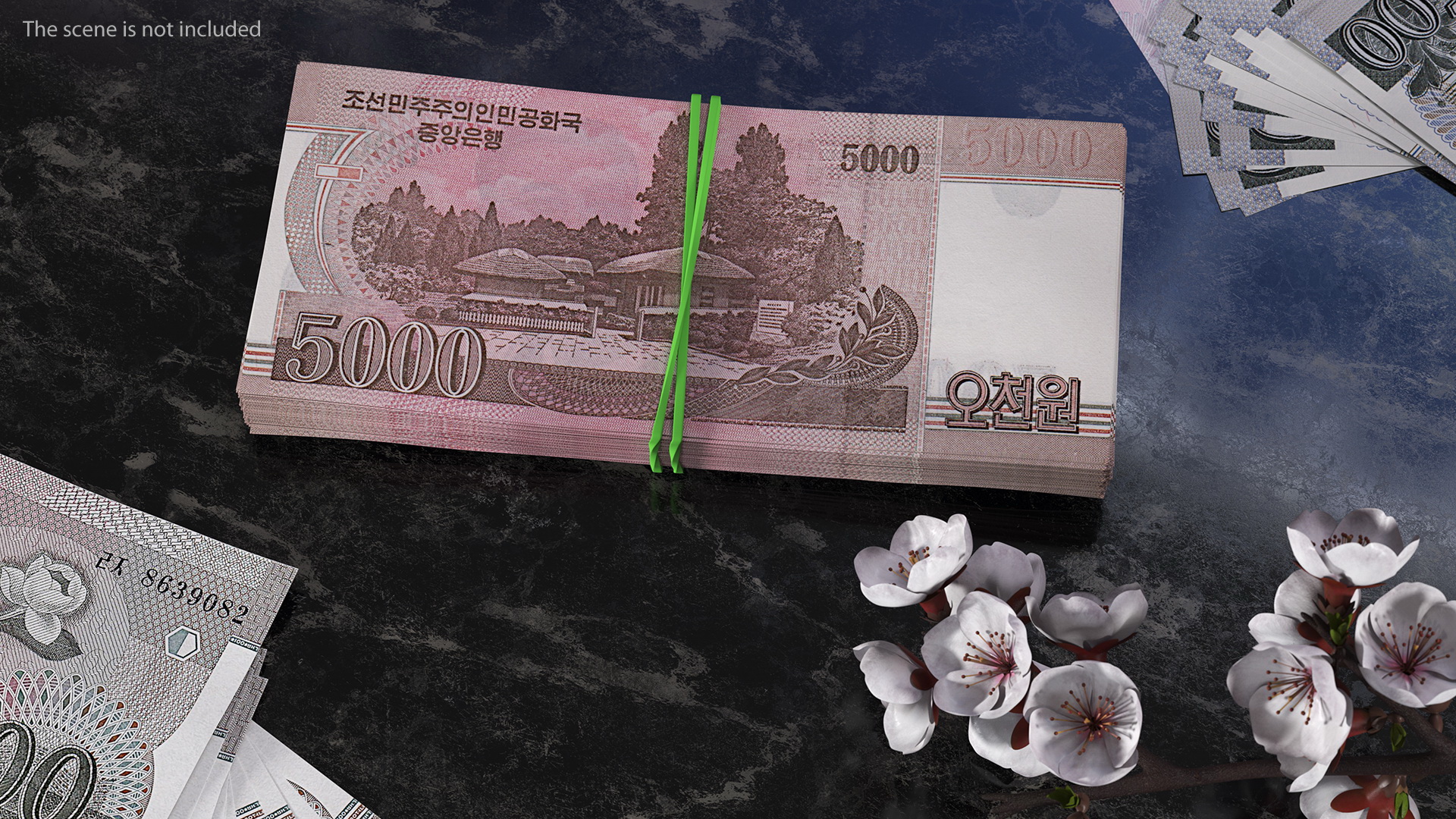 3D Rubber Band Stack of North Korea 5000 Won 2008