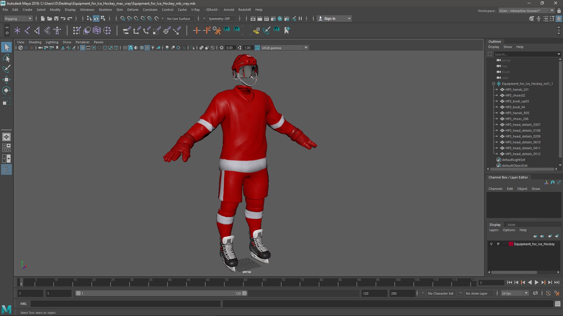 Equipment for Ice Hockey 3D model