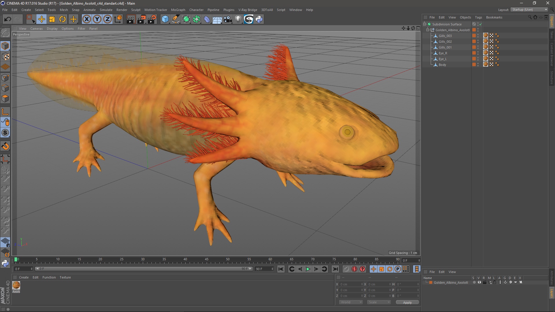 3D Golden Albino Axolotl