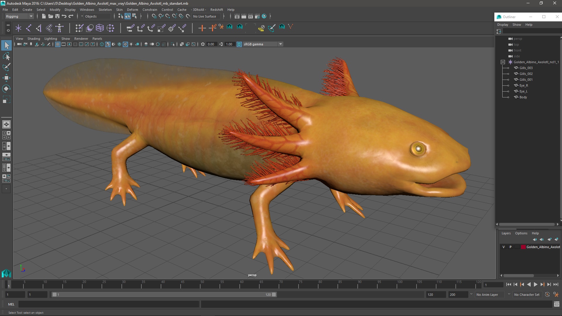 3D Golden Albino Axolotl