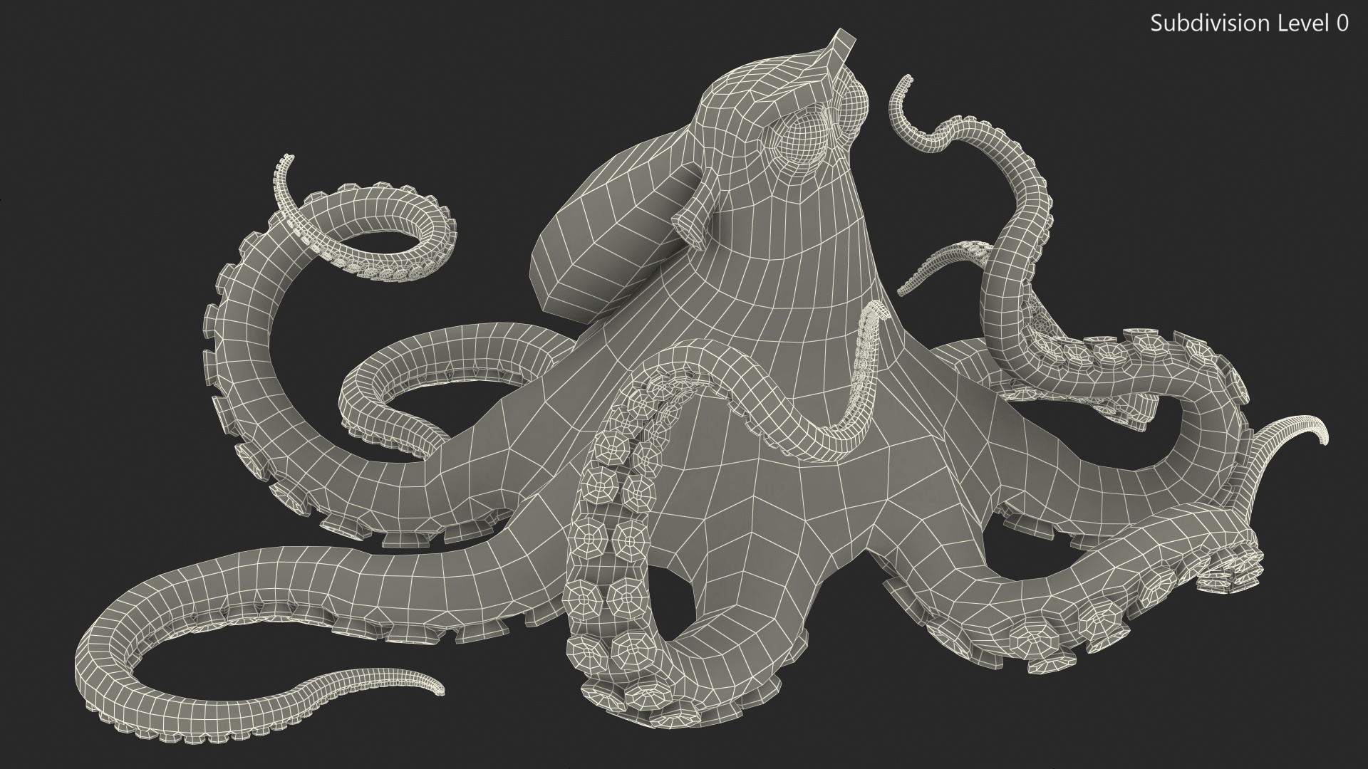 Cartoon Octopus Moving Pose 3D