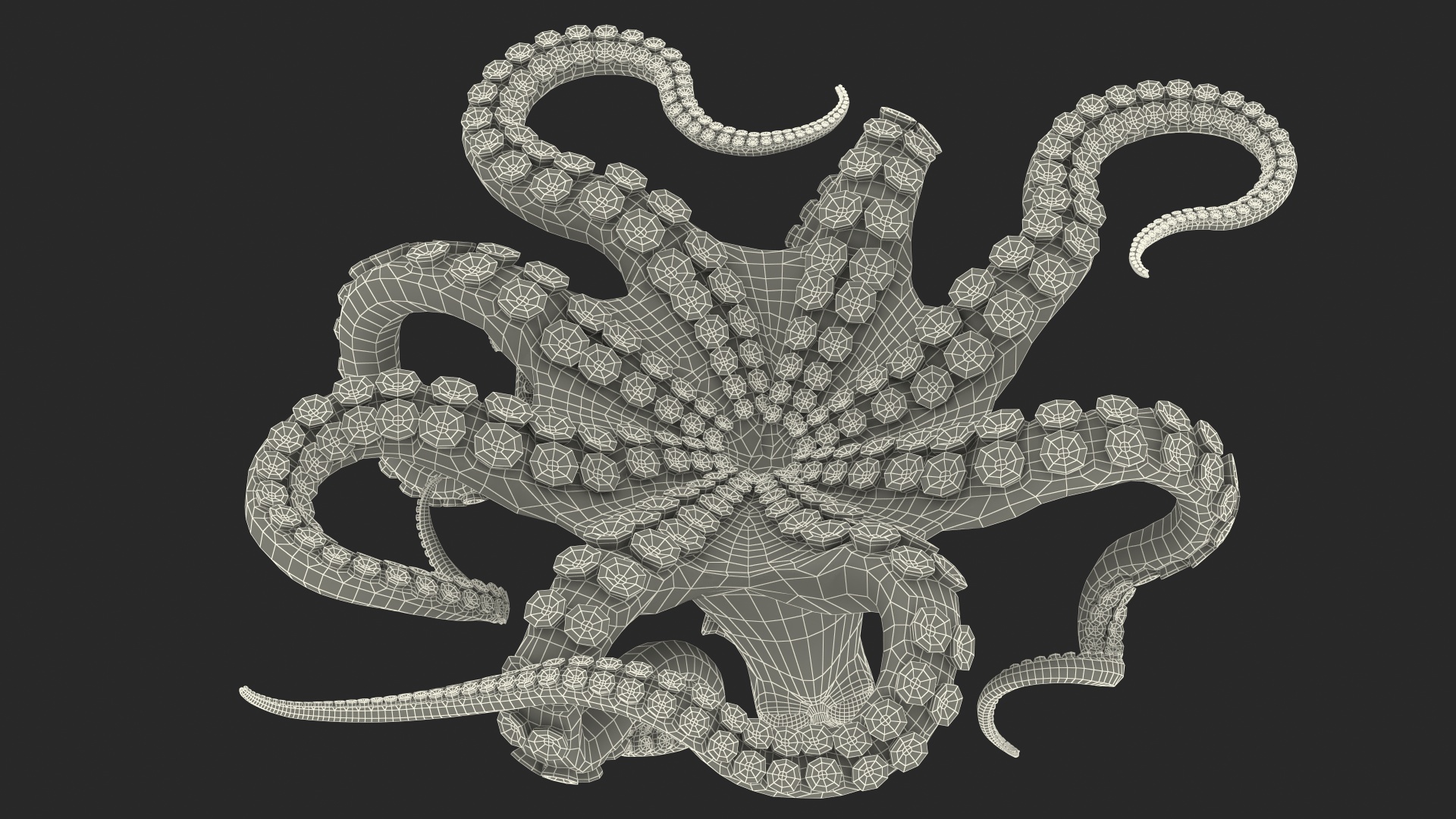 Cartoon Octopus Moving Pose 3D