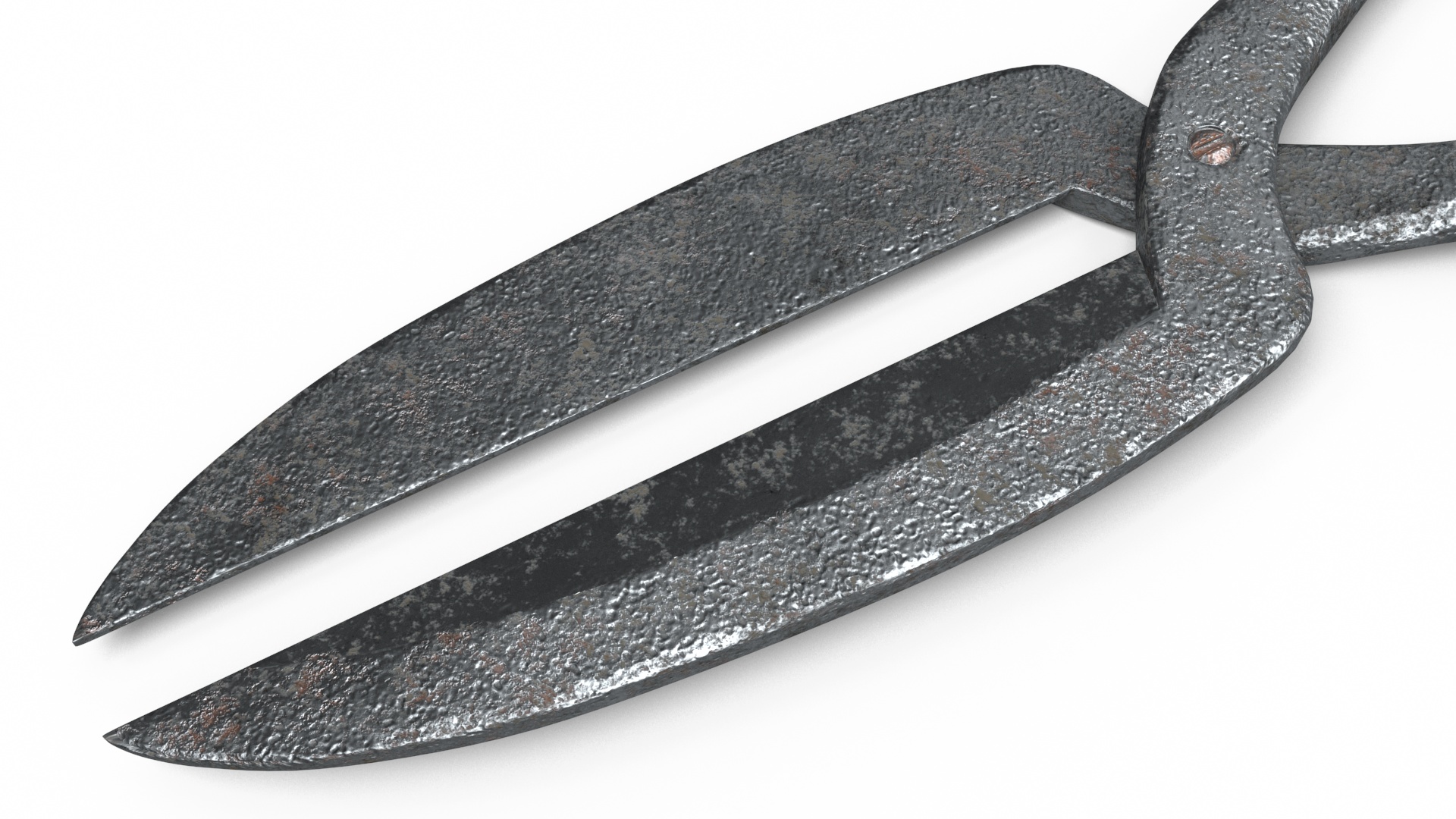 3D Tongue Tearer model